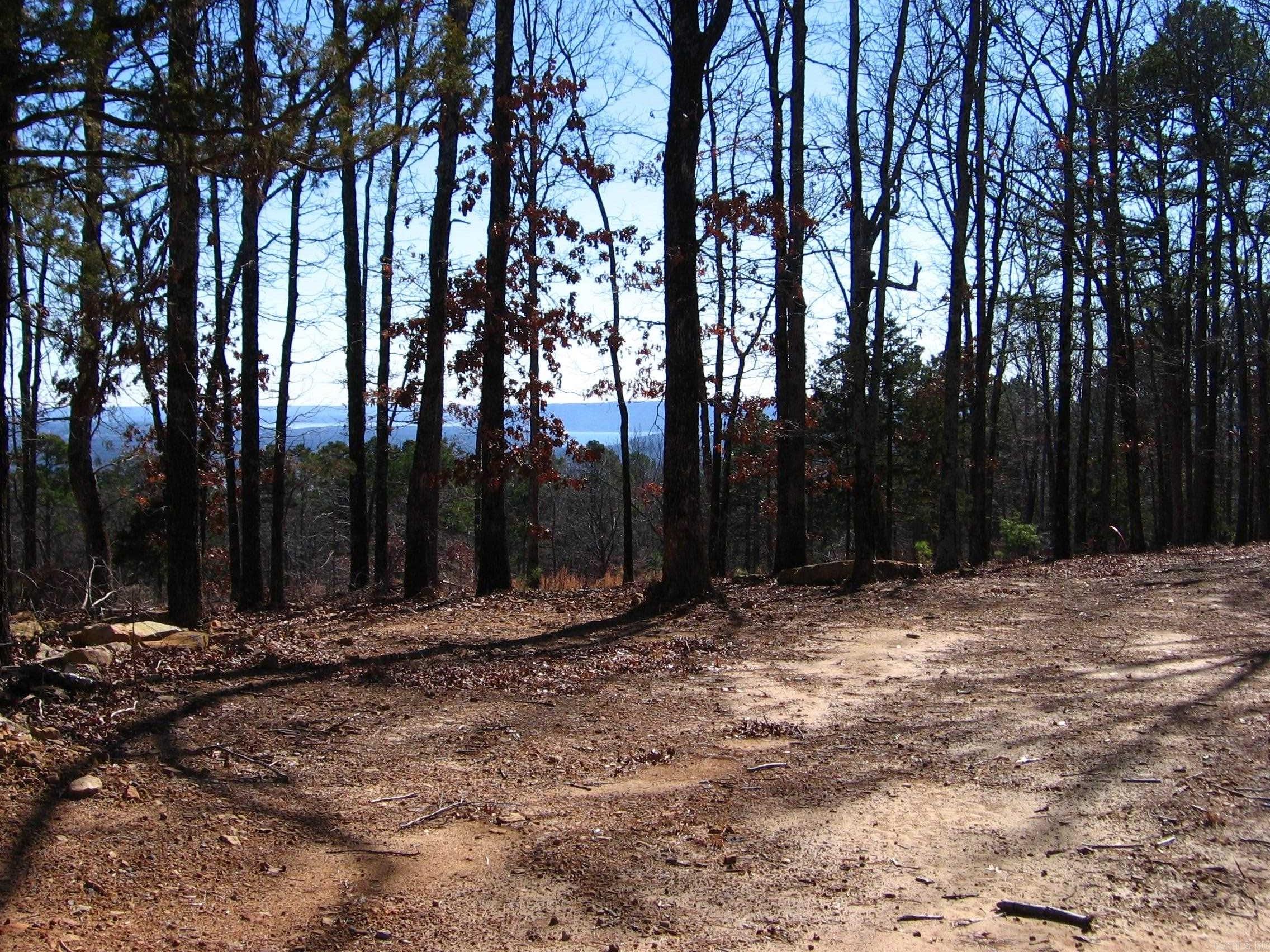 135  Osage Point  Fairfield Bay, AR