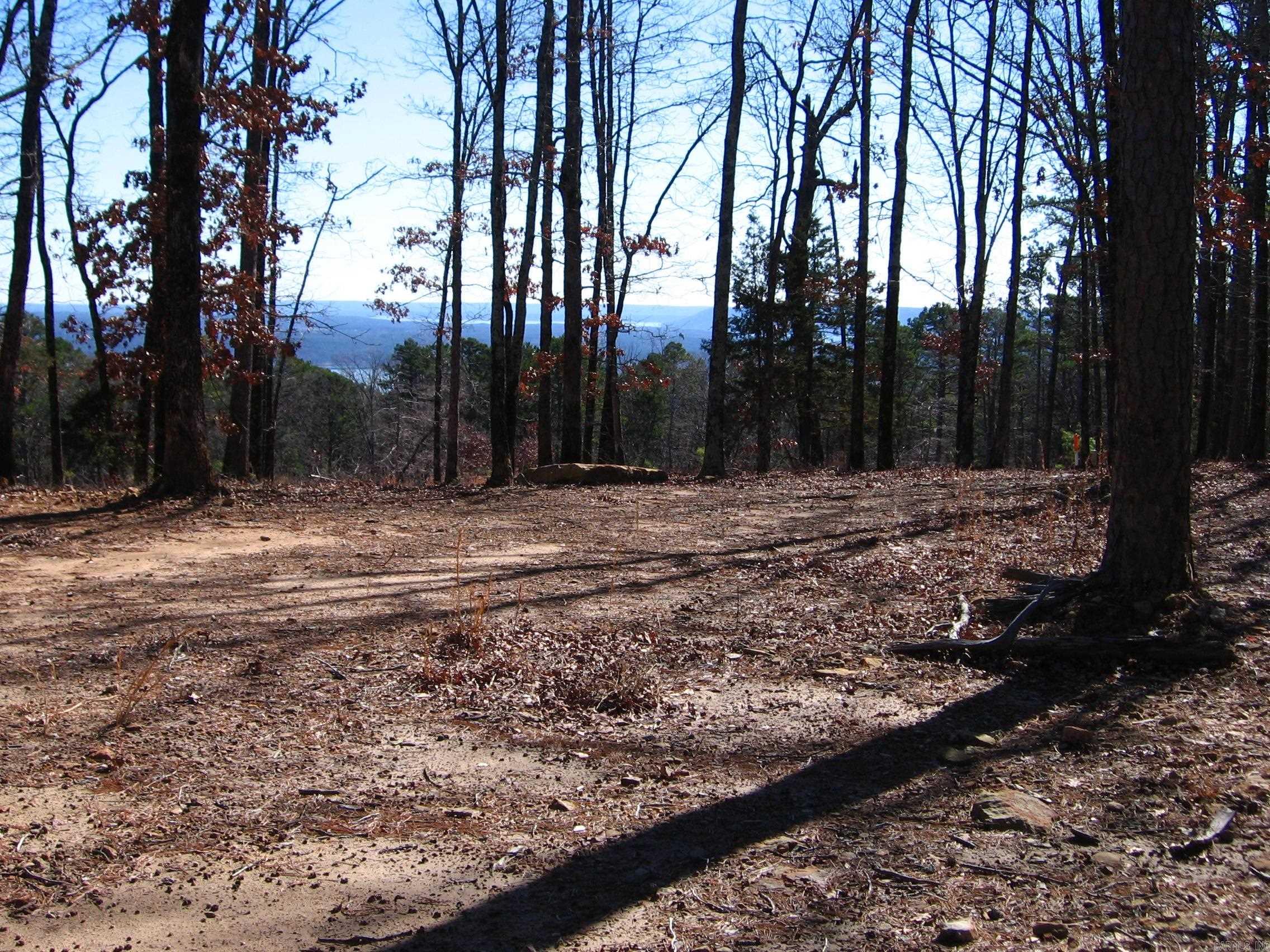 135  Osage Point  Fairfield Bay, AR