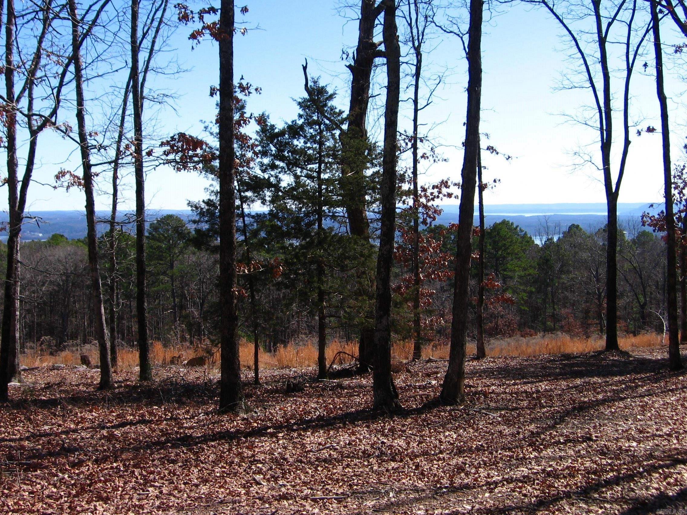 135  Osage Point  Fairfield Bay, AR