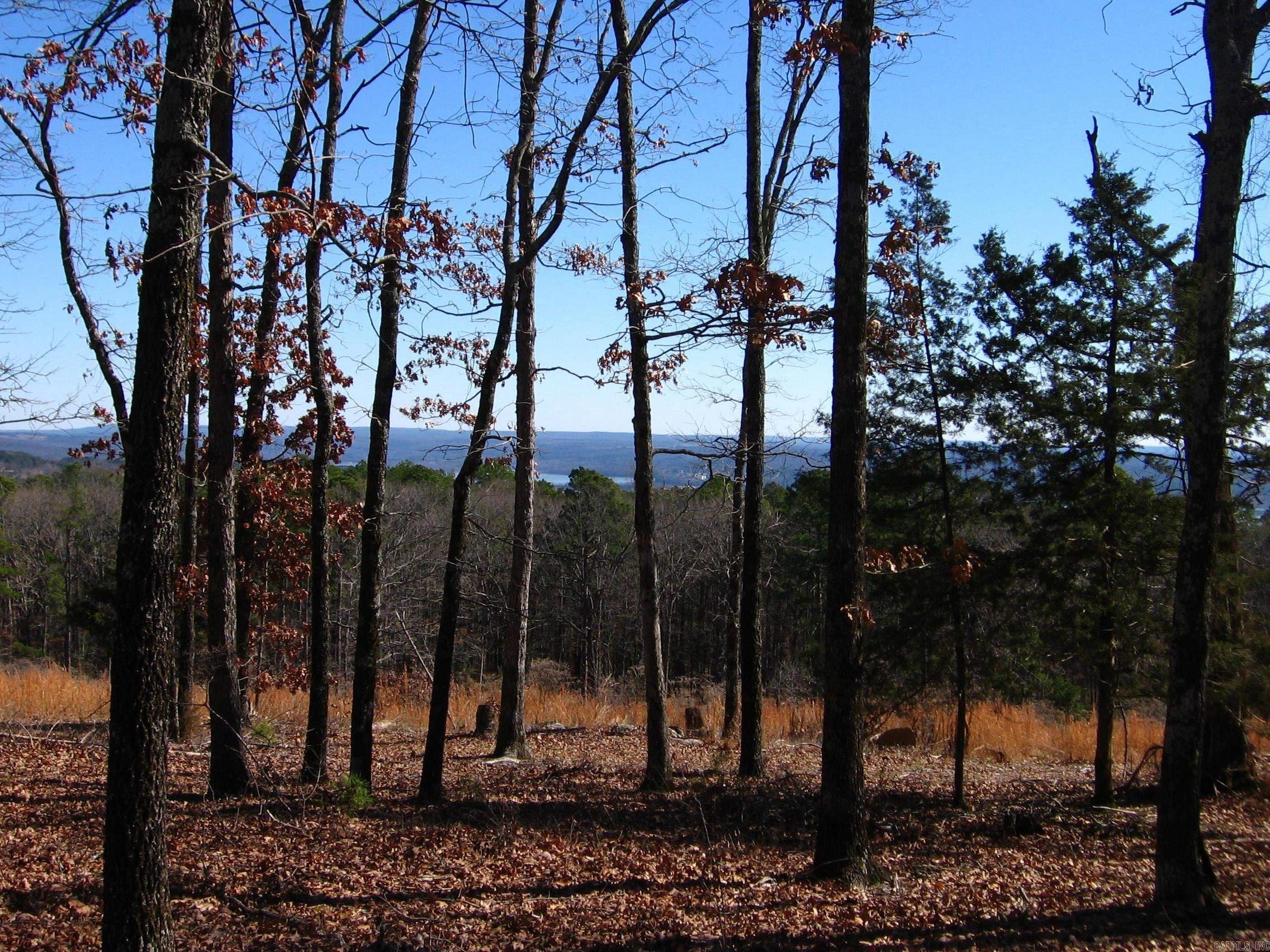 135  Osage Point  Fairfield Bay, AR