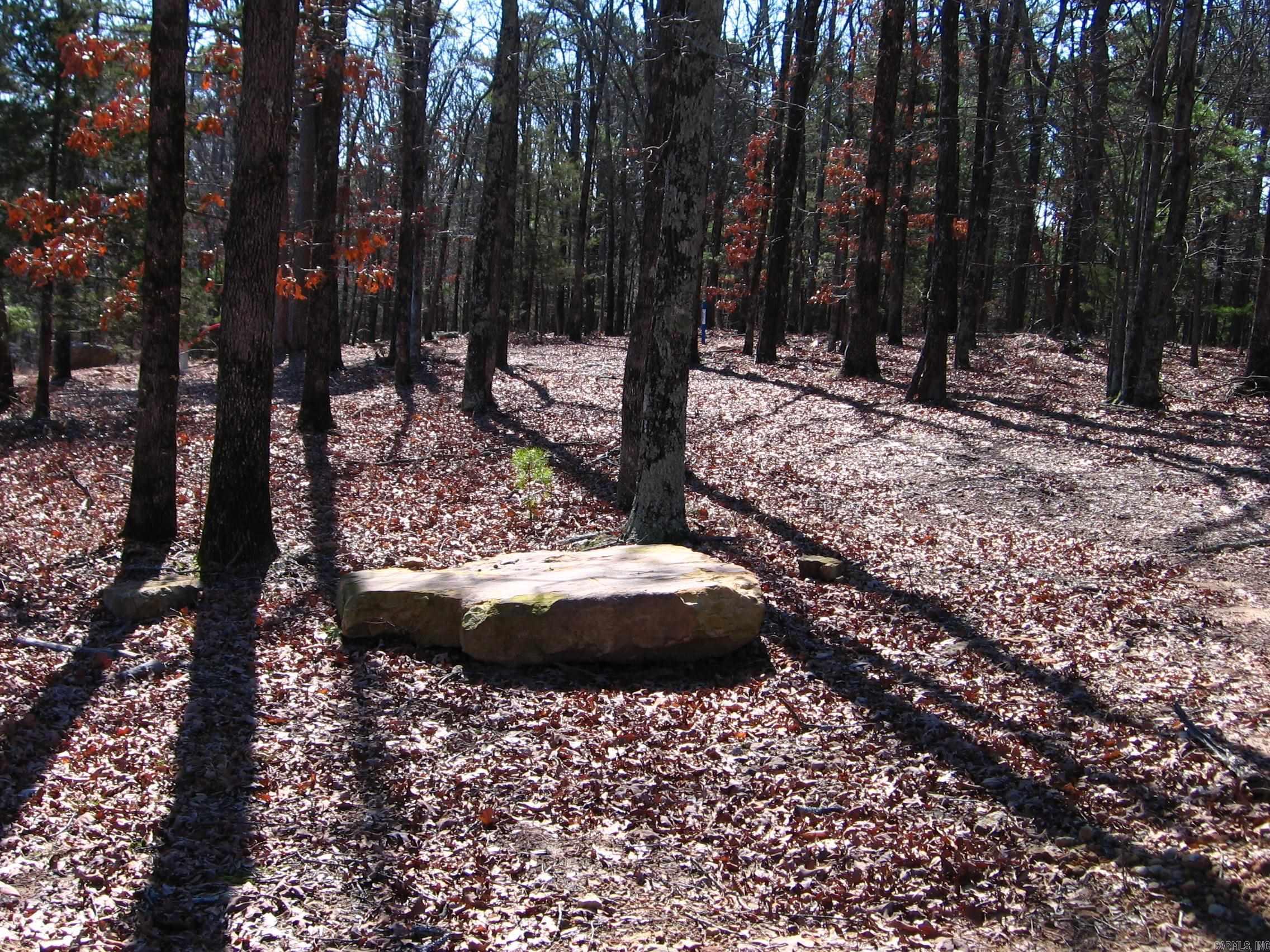 135  Osage Point  Fairfield Bay, AR