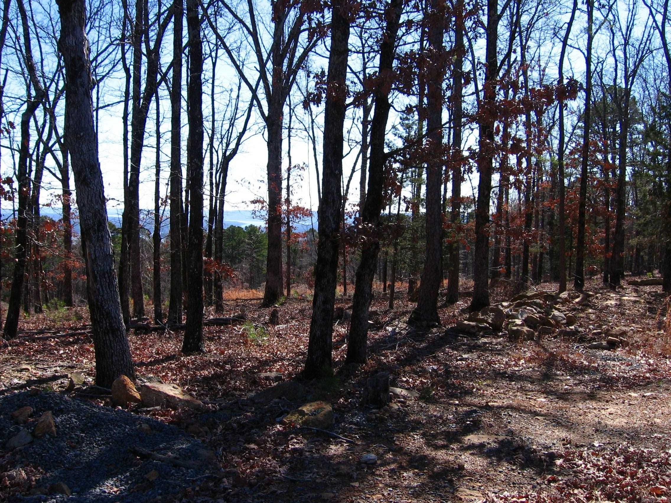 135  Osage Point  Fairfield Bay, AR