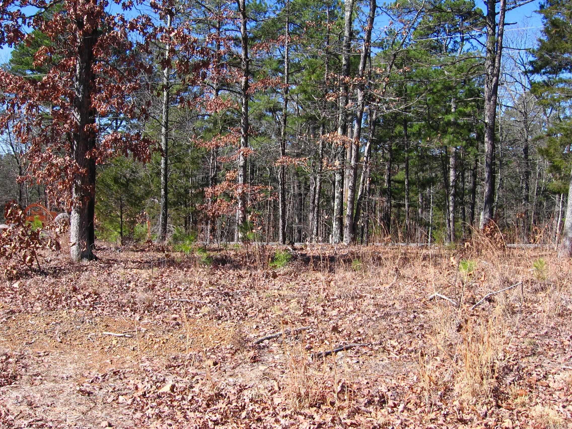 135  Osage Point  Fairfield Bay, AR