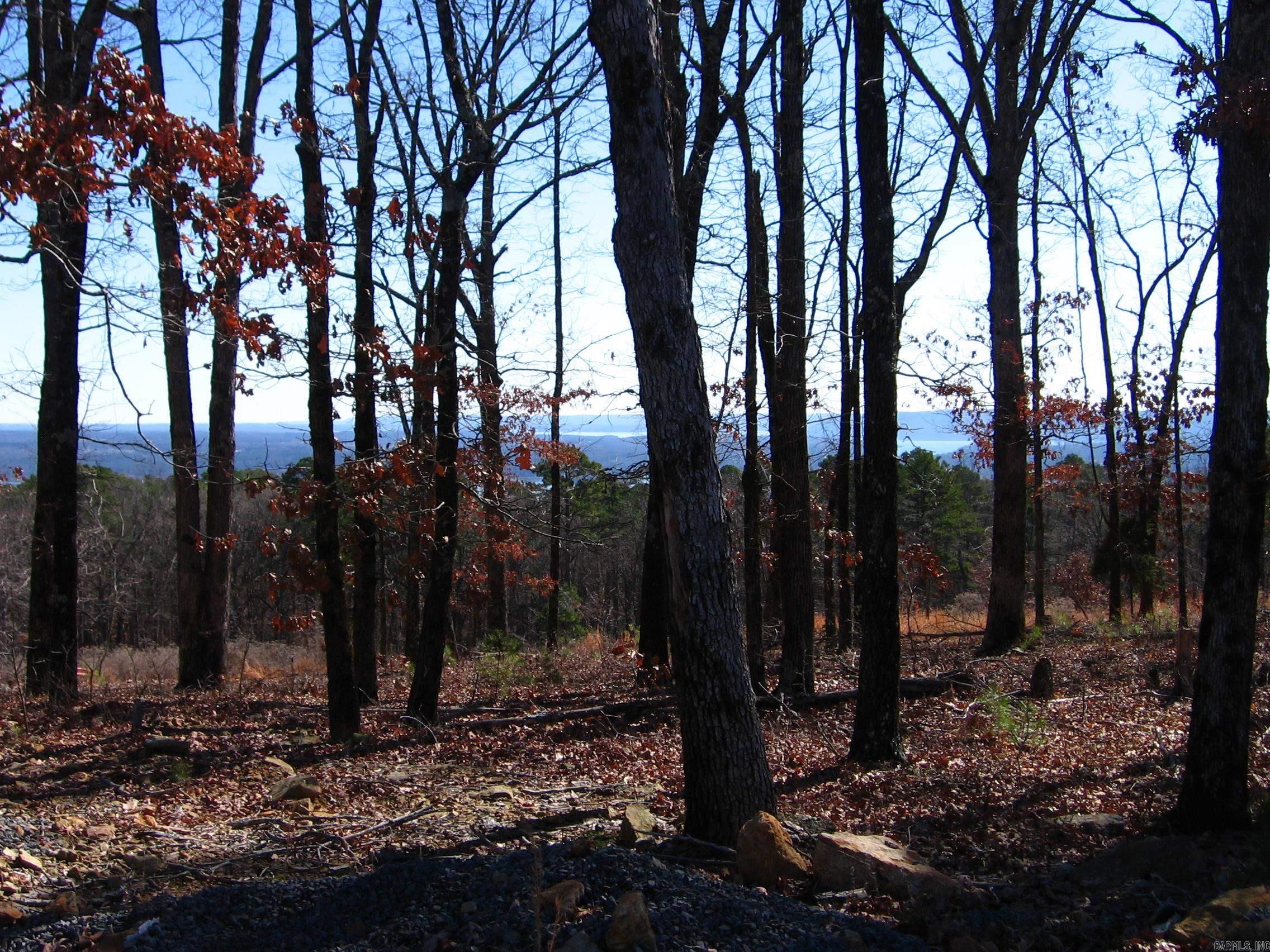 135  Osage Point  Fairfield Bay, AR