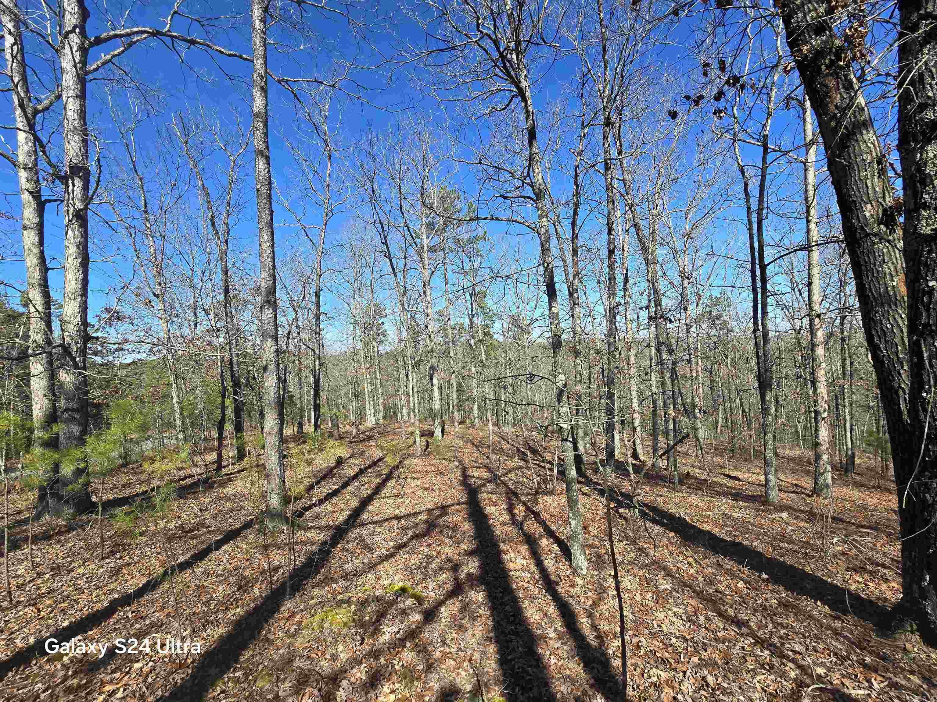 0  woodlawn  Fairfield Bay, AR