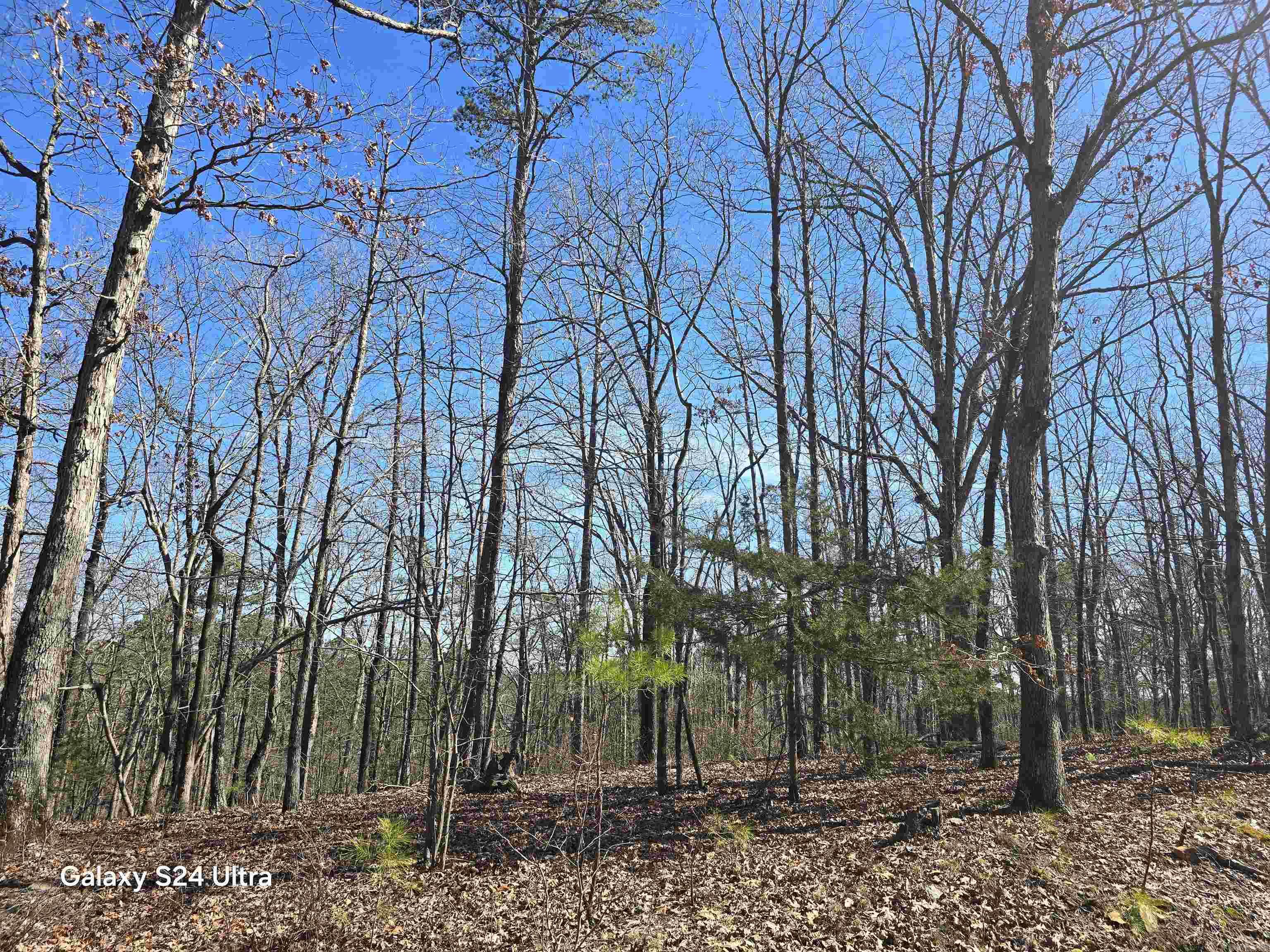 0  woodlawn  Fairfield Bay, AR