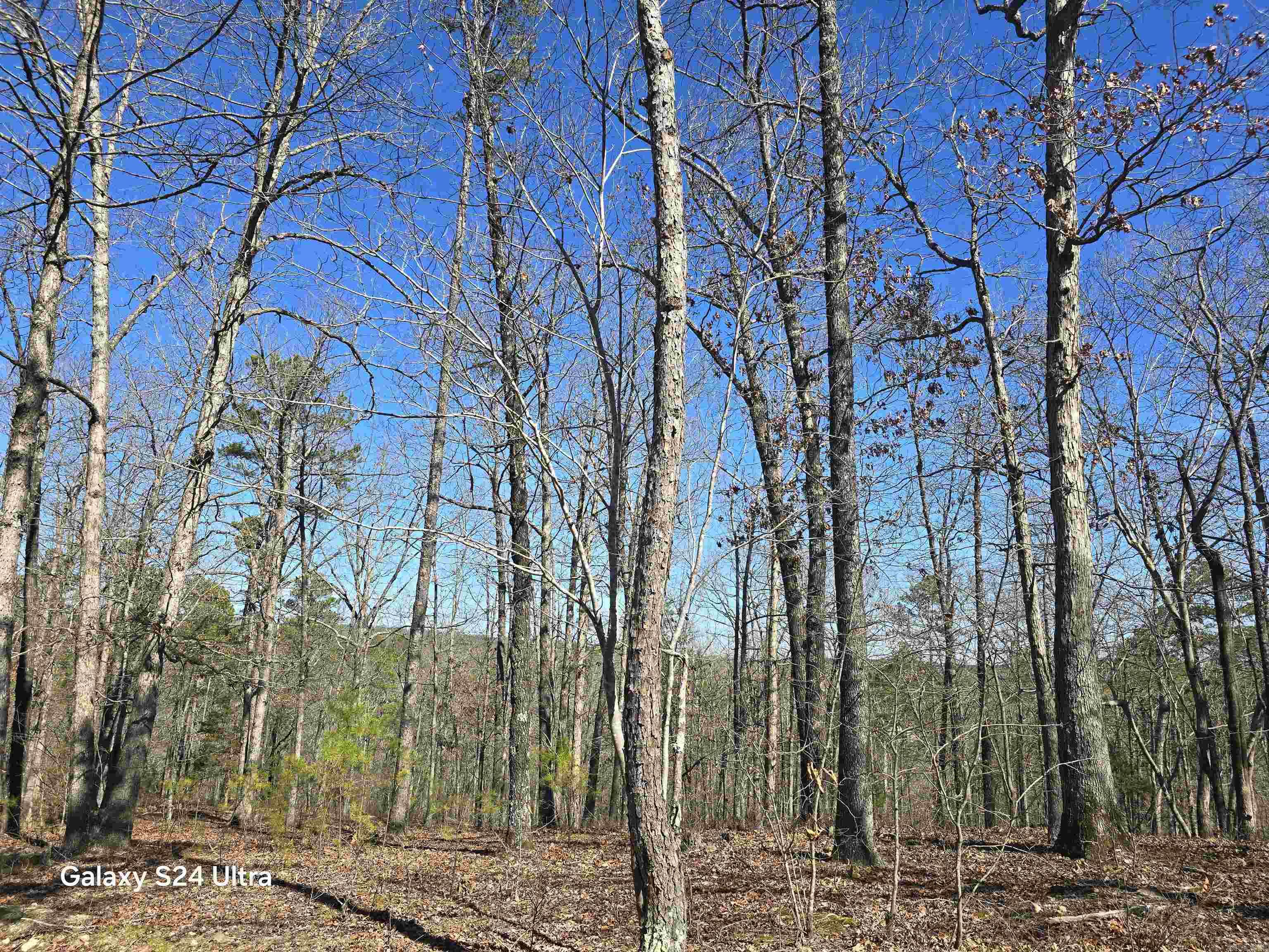 0  woodlawn  Fairfield Bay, AR
