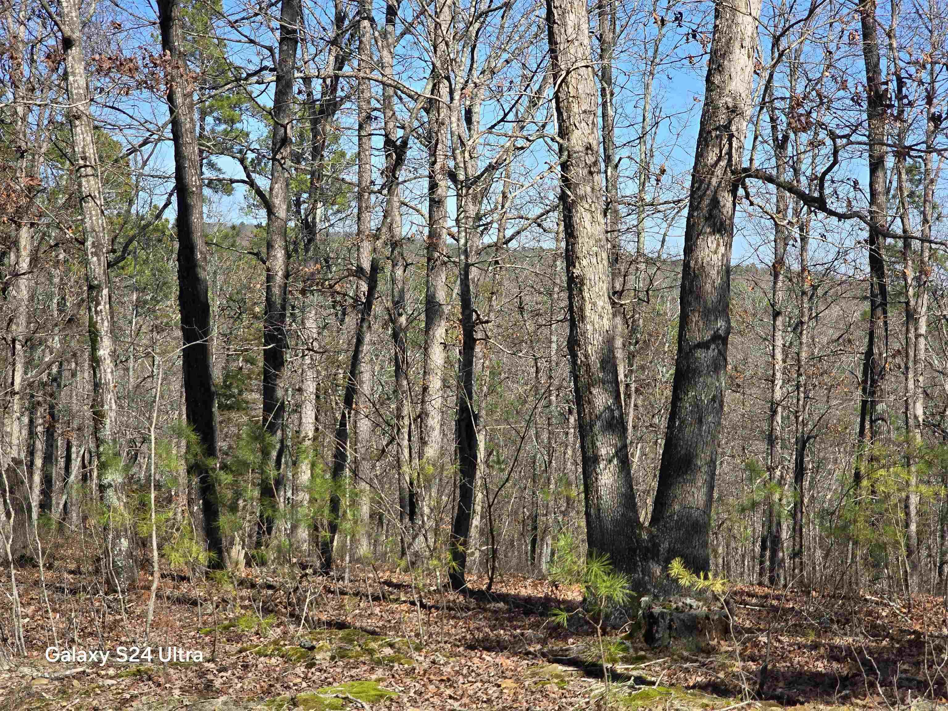0  woodlawn  Fairfield Bay, AR