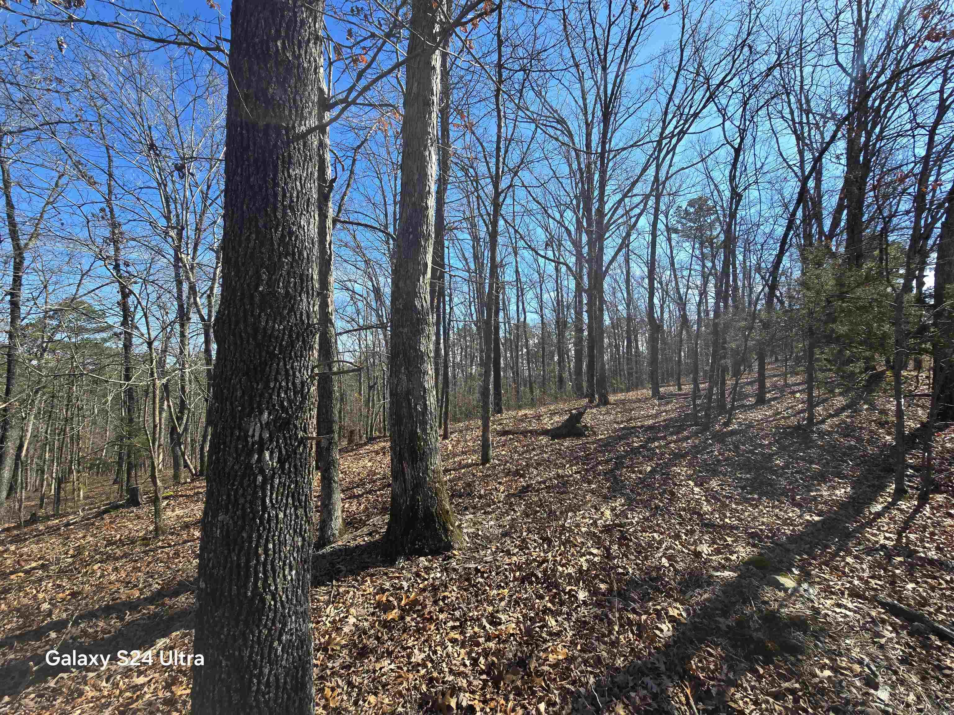 0  woodlawn  Fairfield Bay, AR