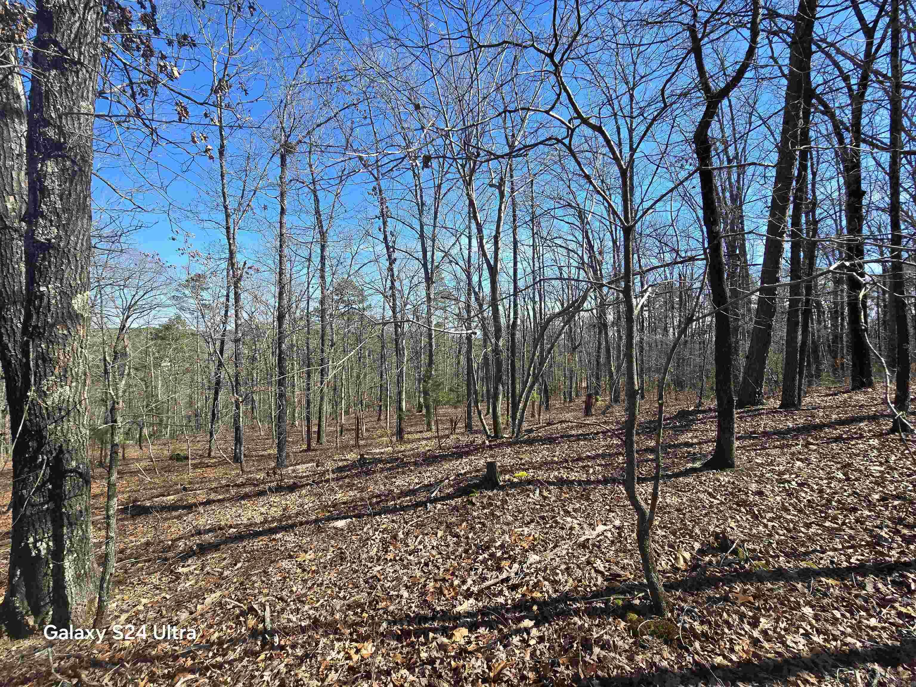 0  woodlawn  Fairfield Bay, AR