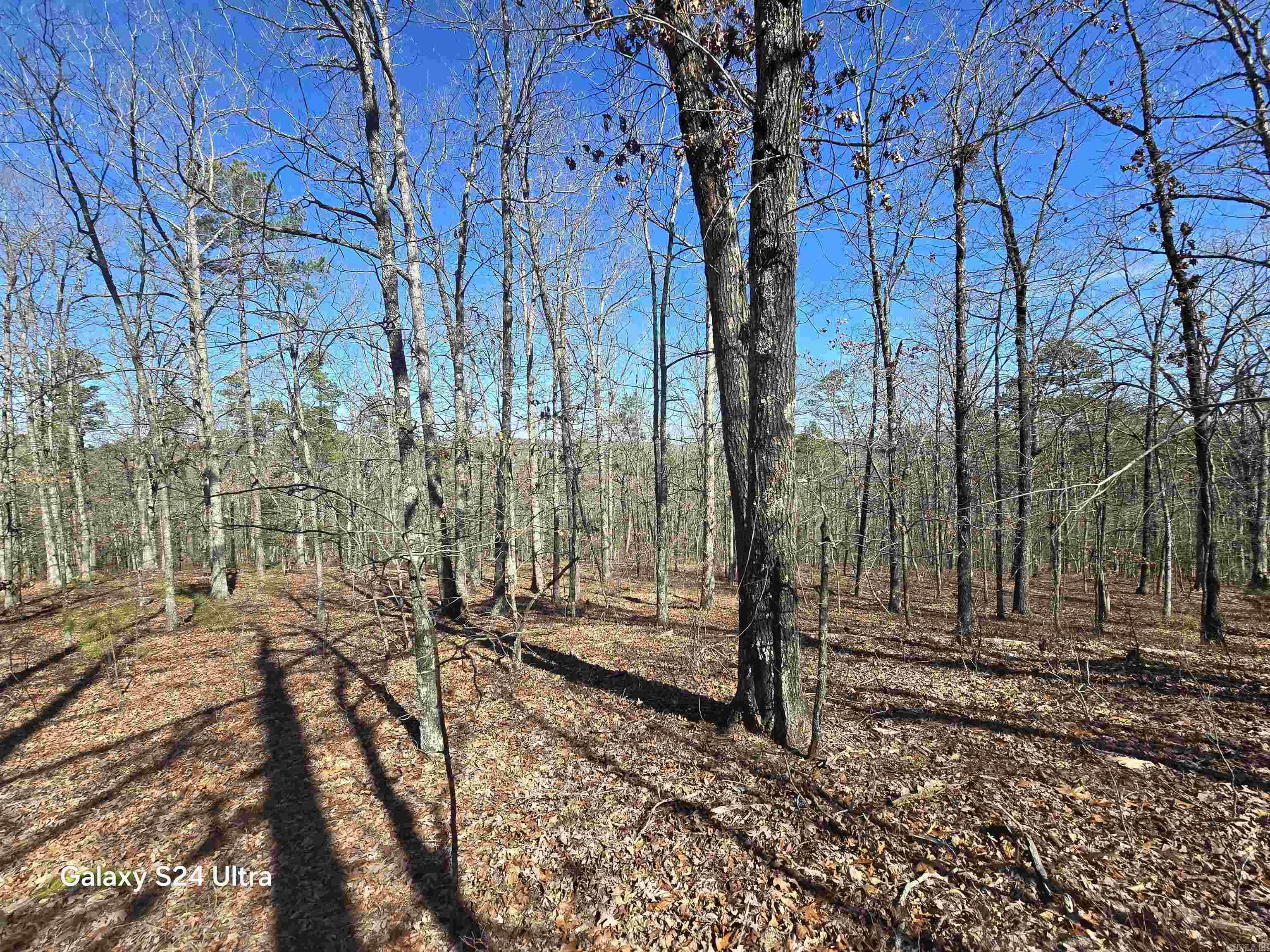 0  woodlawn  Fairfield Bay, AR