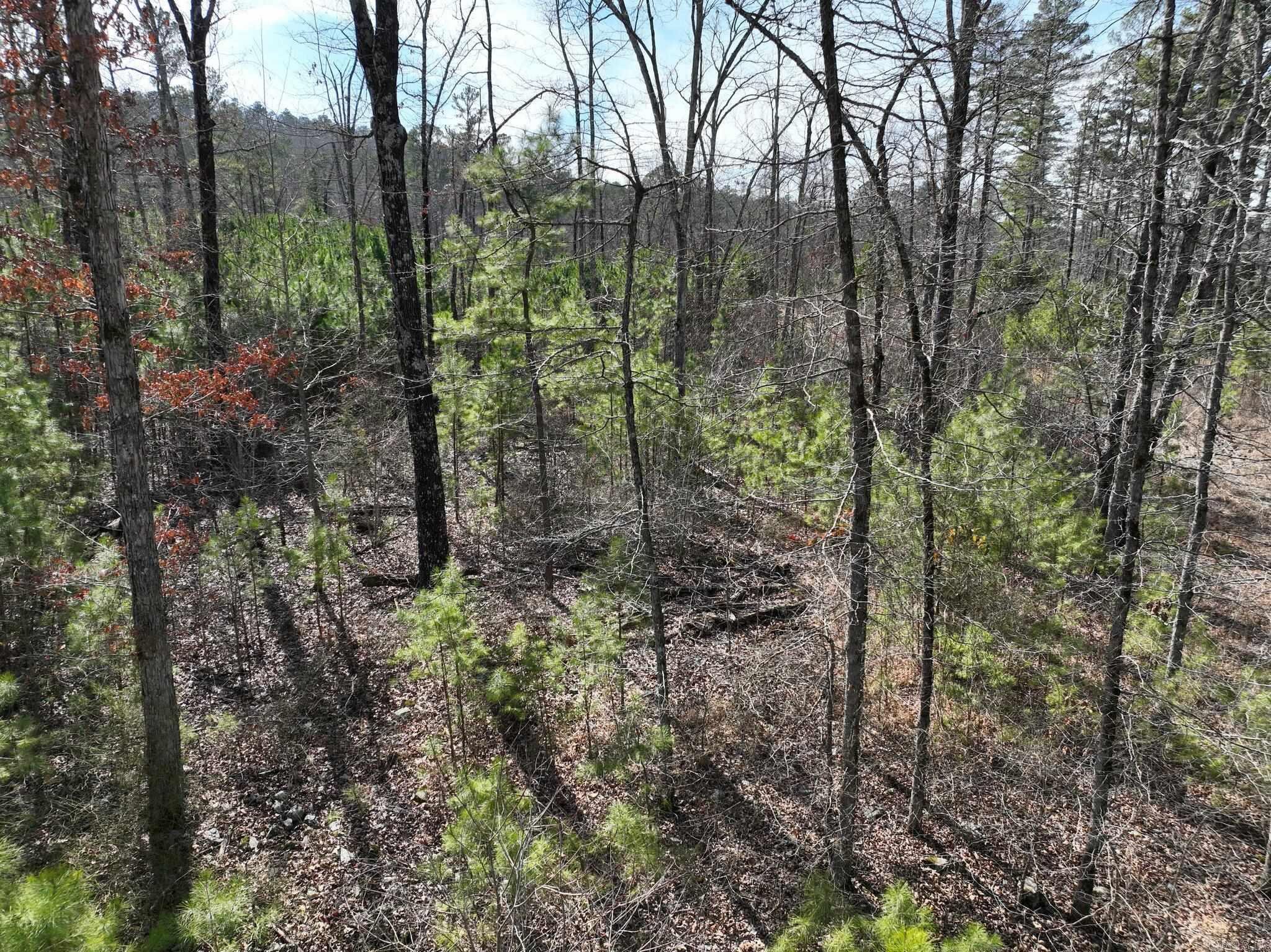 Tract 11  Big Fork Mountain Valley Lane  Mena, AR