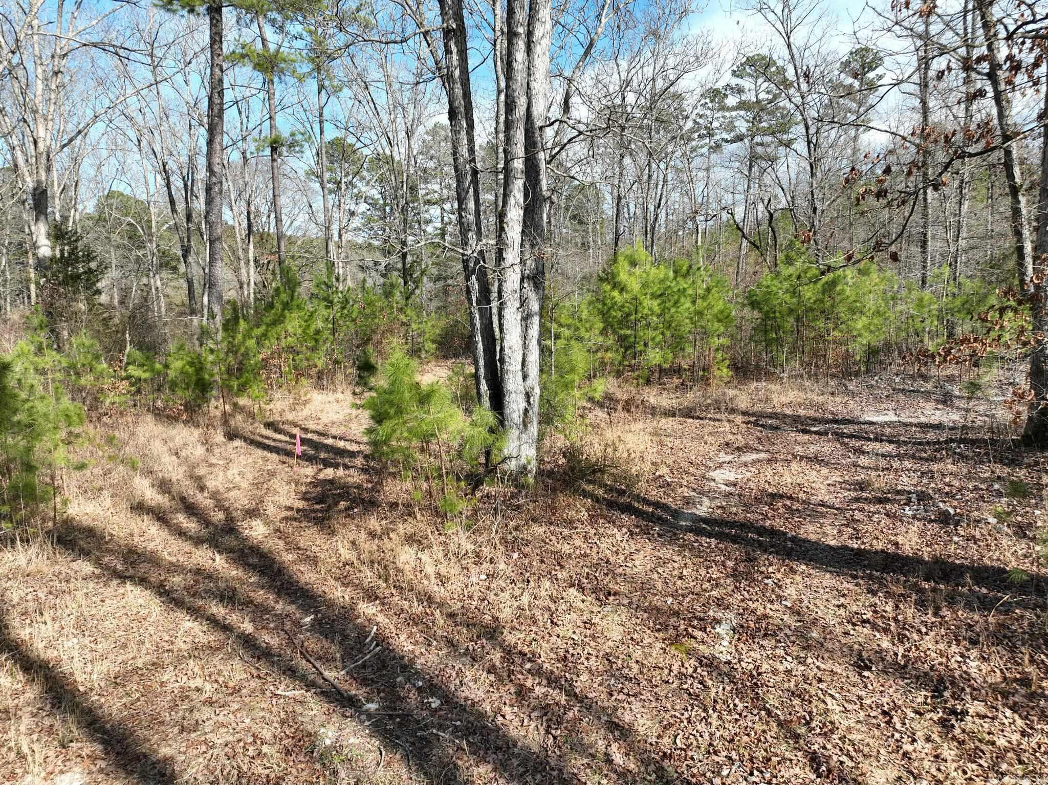 Tract 11  Big Fork Mountain Valley Lane  Mena, AR