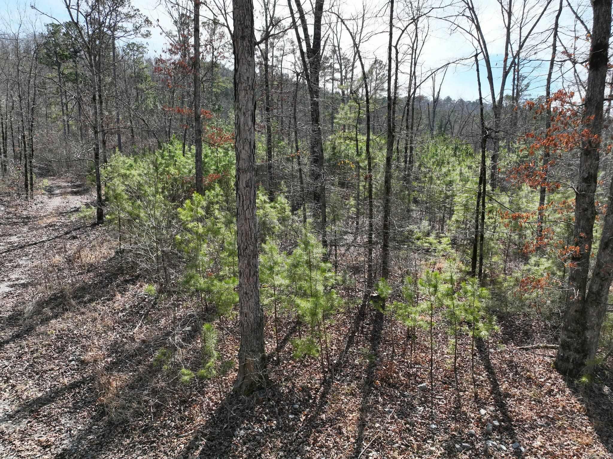 Tract 11  Big Fork Mountain Valley Lane  Mena, AR