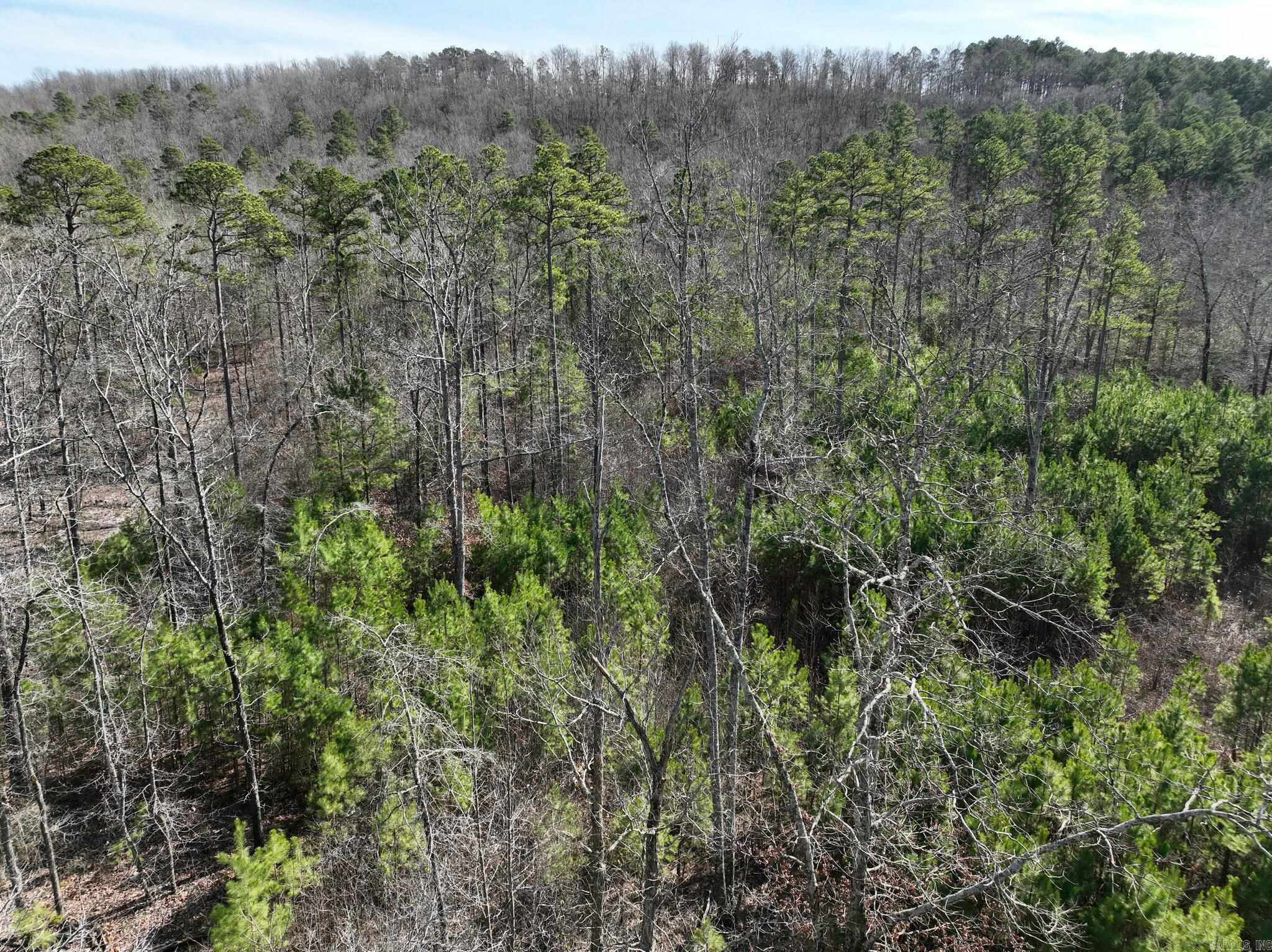 Tract 11  Big Fork Mountain Valley Lane  Mena, AR