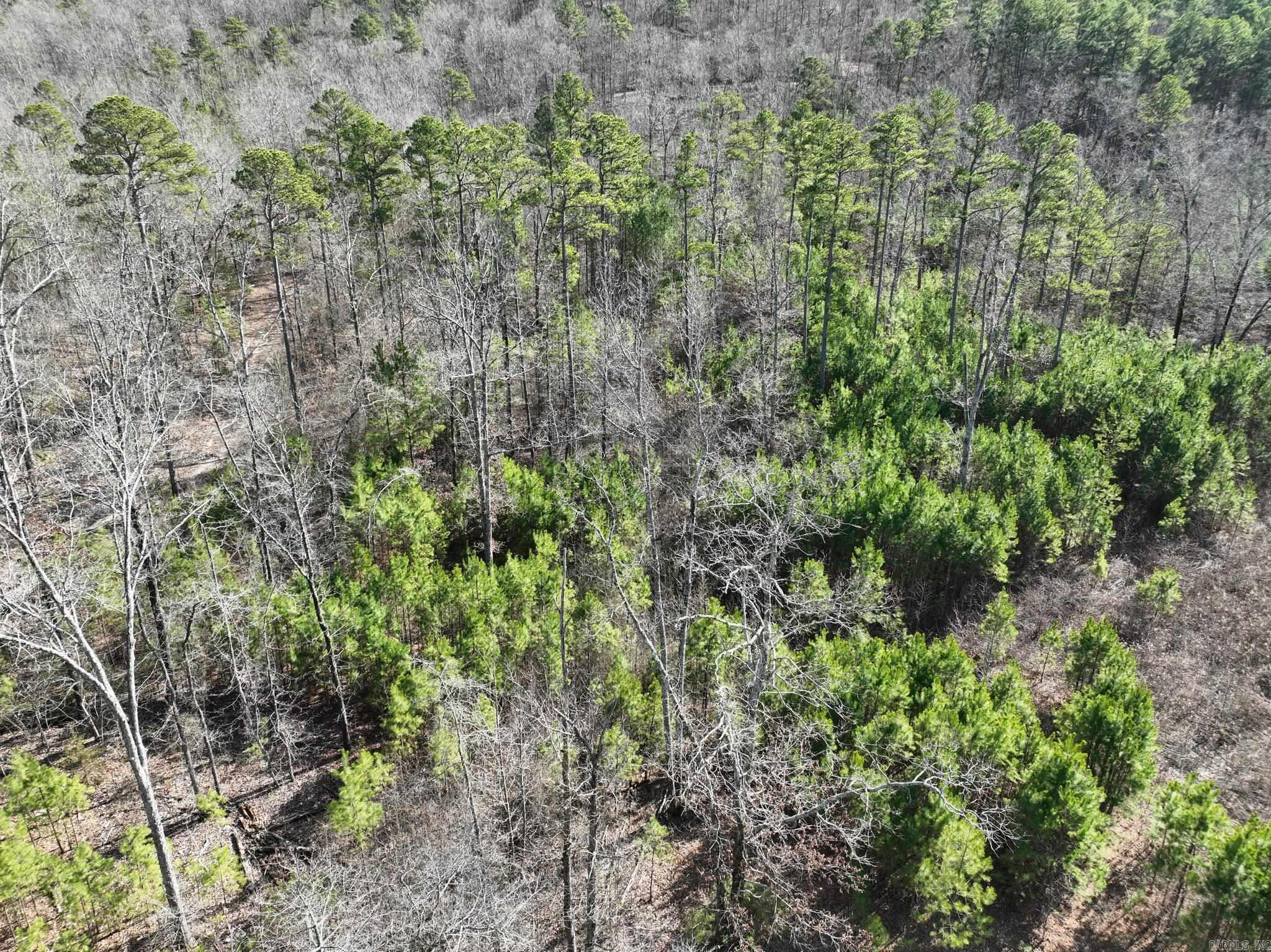 Tract 11  Big Fork Mountain Valley Lane  Mena, AR