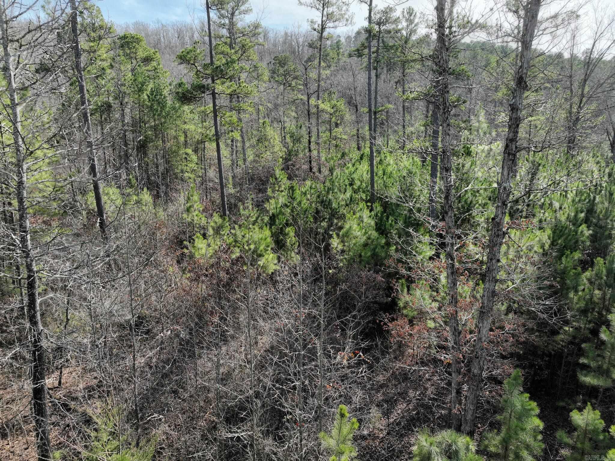 Tract 11  Big Fork Mountain Valley Lane  Mena, AR