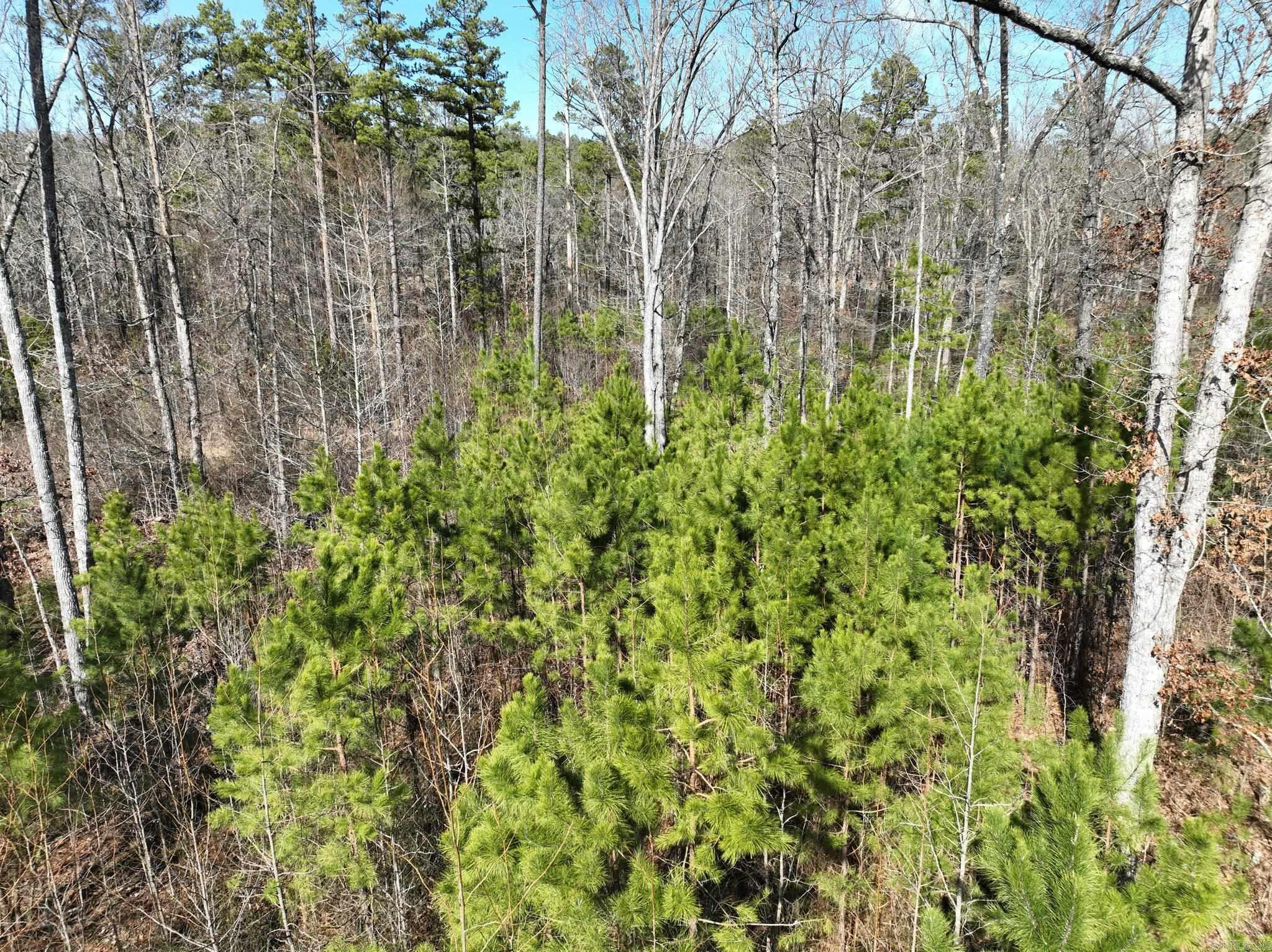 Tract 11  Big Fork Mountain Valley Lane  Mena, AR