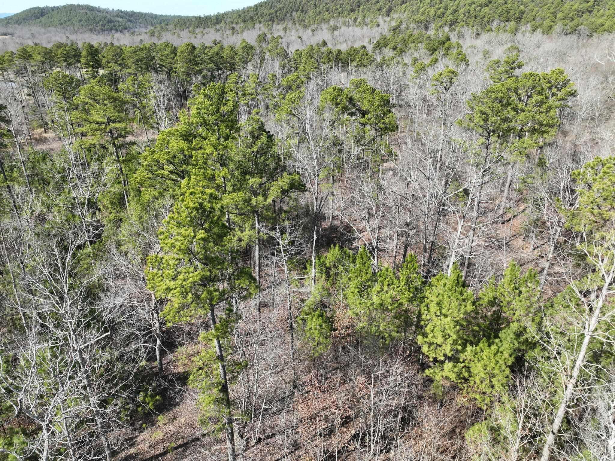 Tract 11  Big Fork Mountain Valley Lane  Mena, AR