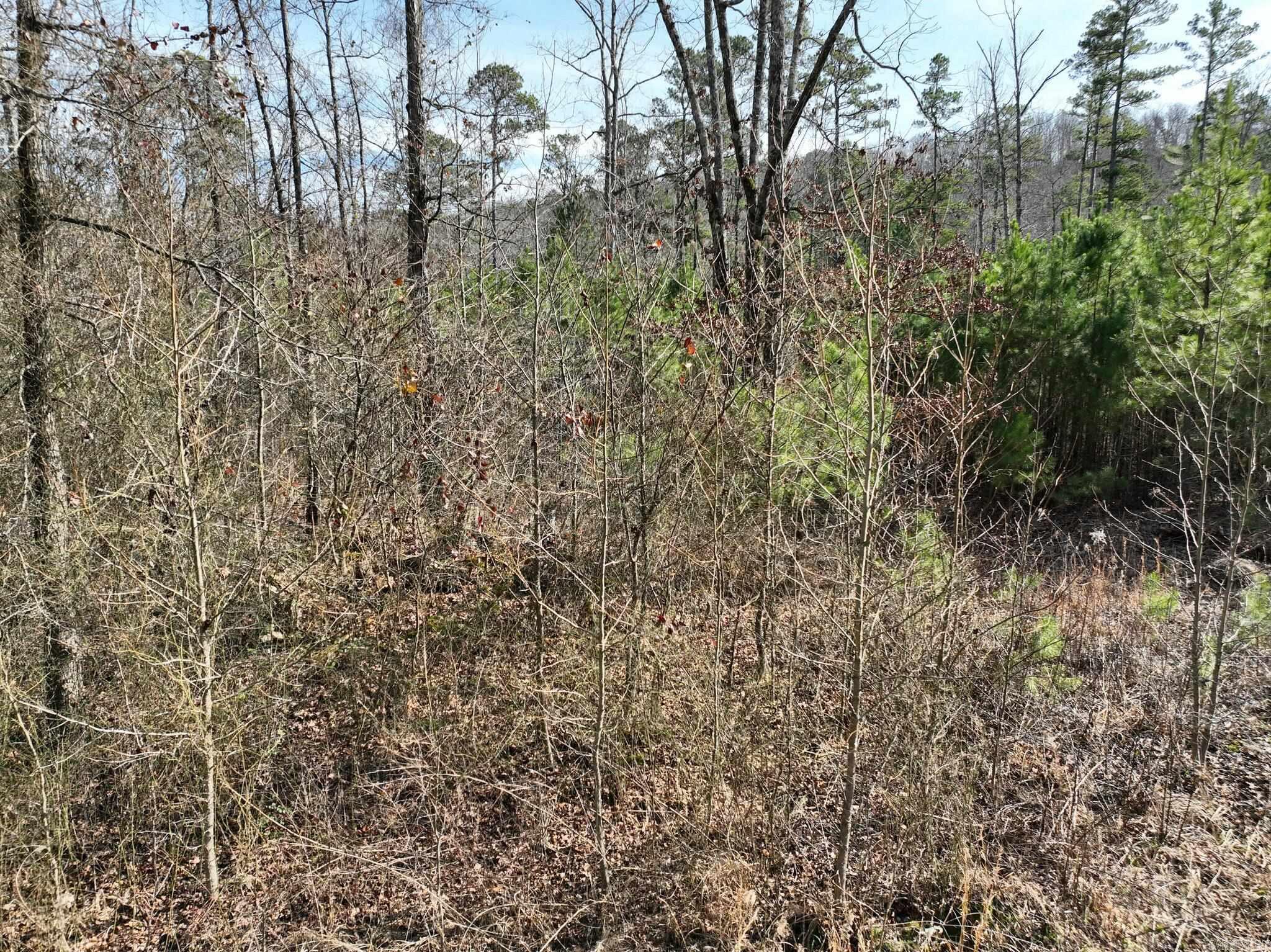 Tract 11  Big Fork Mountain Valley Lane  Mena, AR