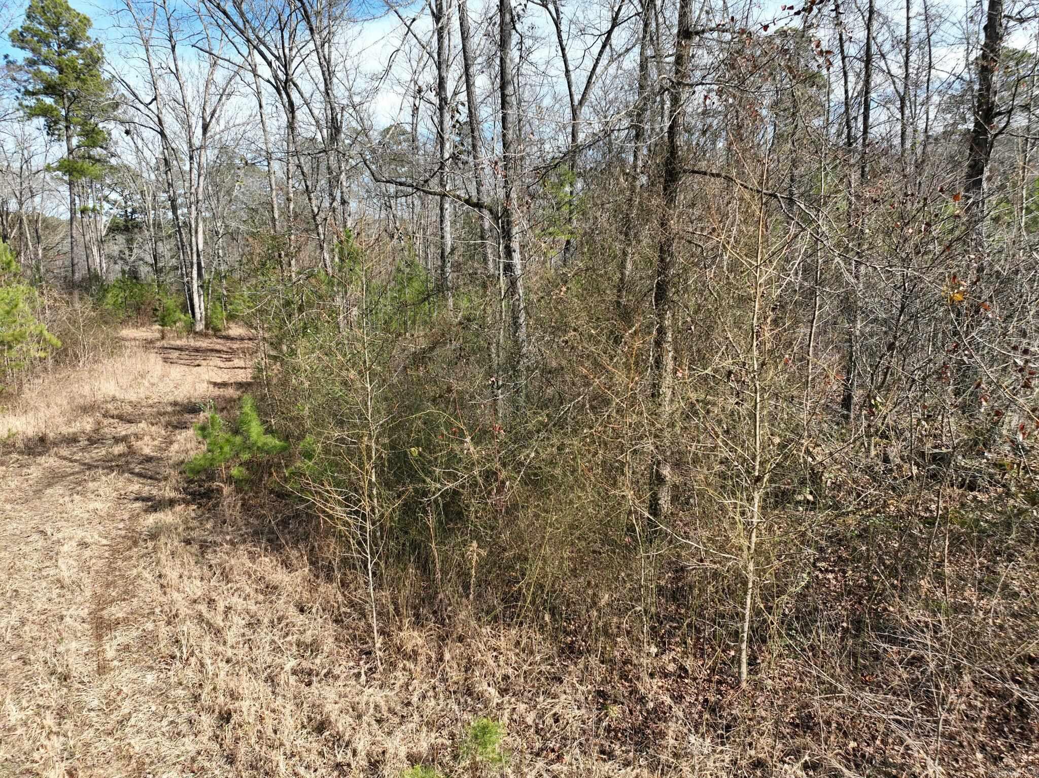 Tract 11  Big Fork Mountain Valley Lane  Mena, AR