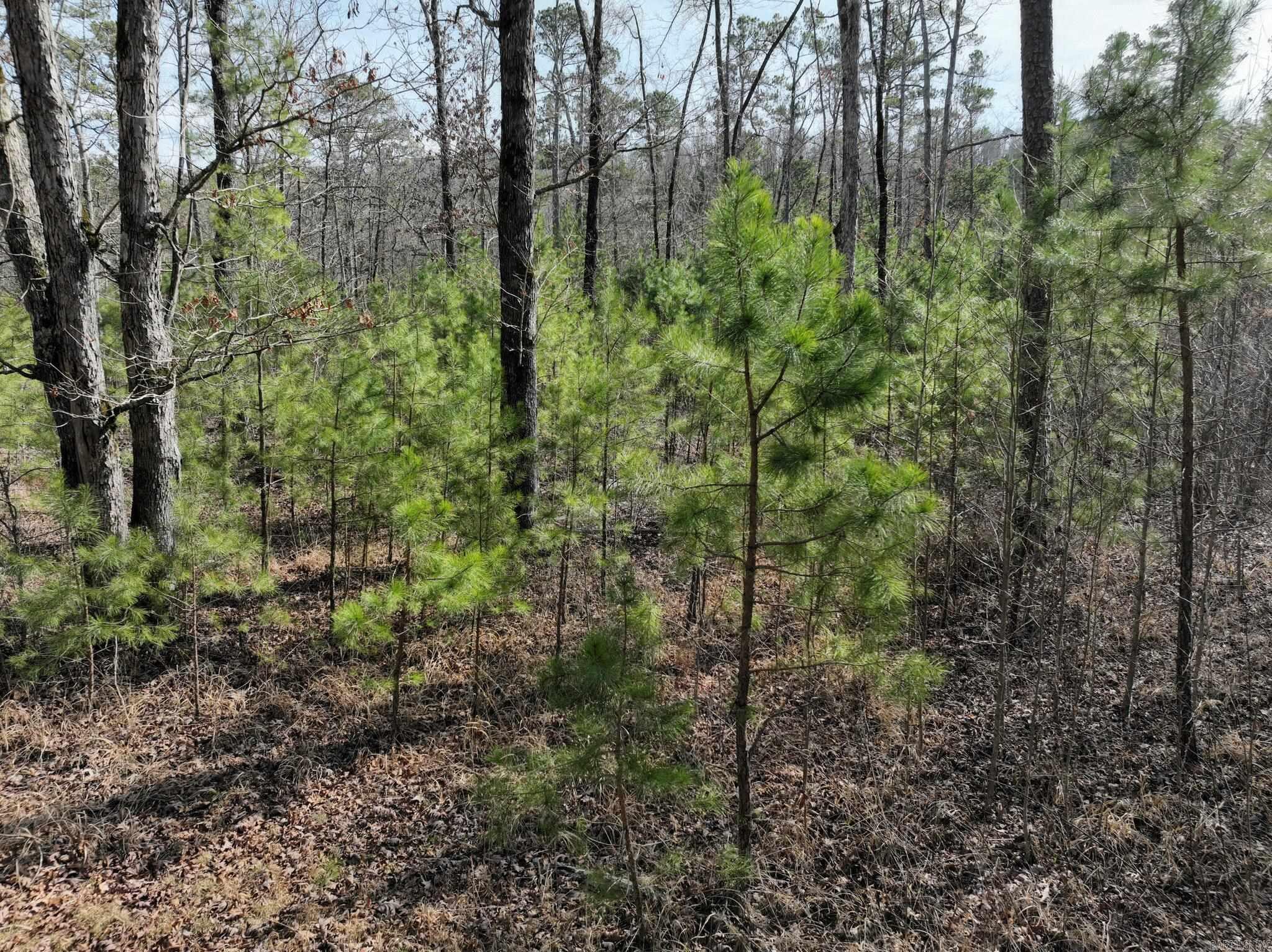 Tract 11  Big Fork Mountain Valley Lane  Mena, AR