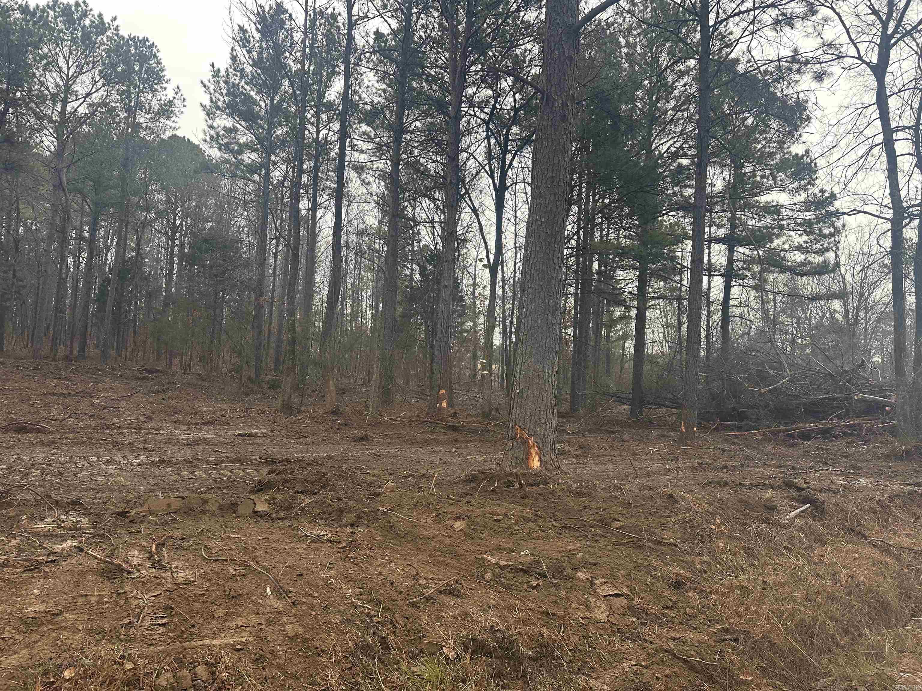 TBD  Bob Hall Tract D Donaldson, AR