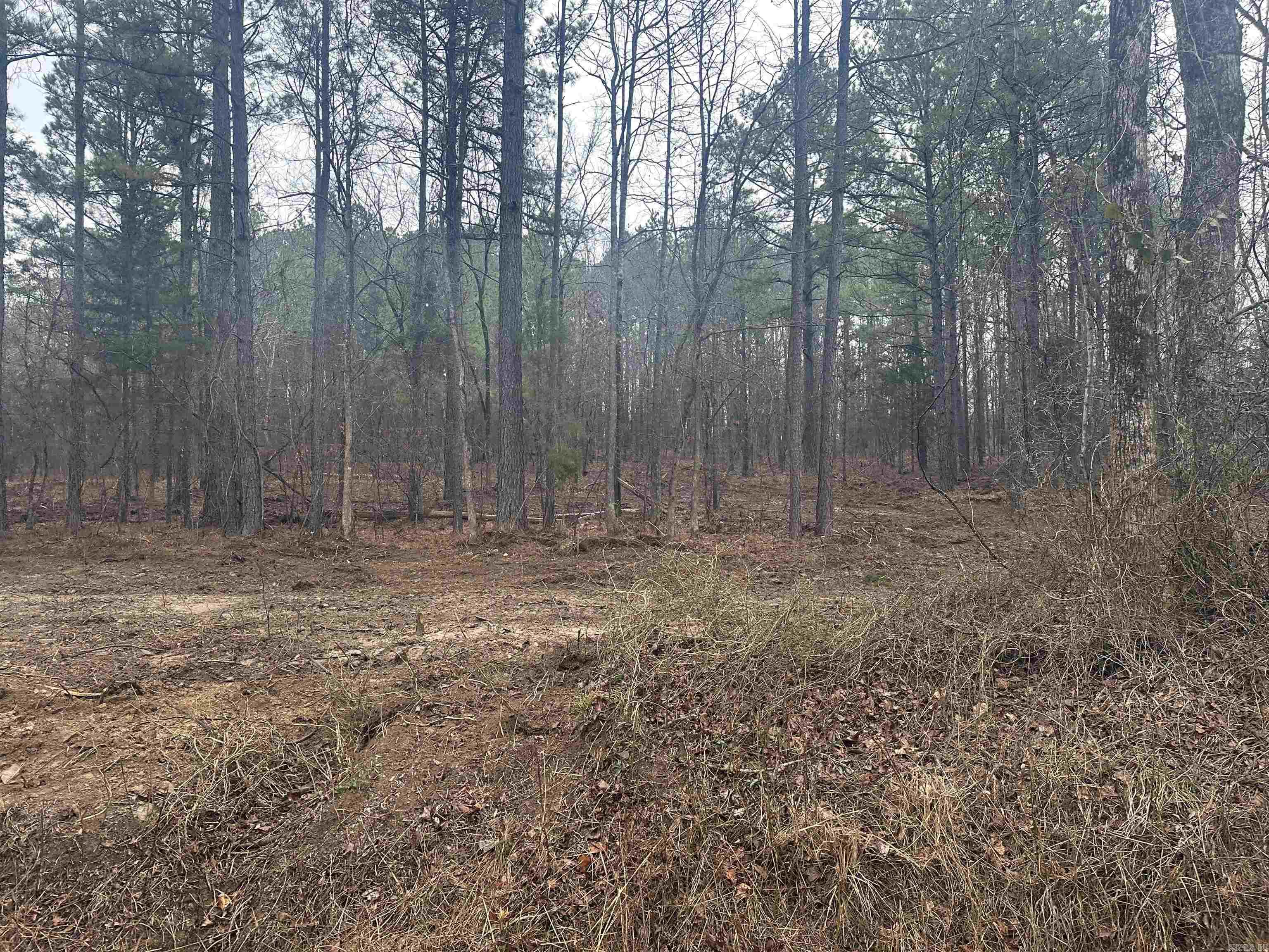 TBD  Bob Hall Tract D Donaldson, AR