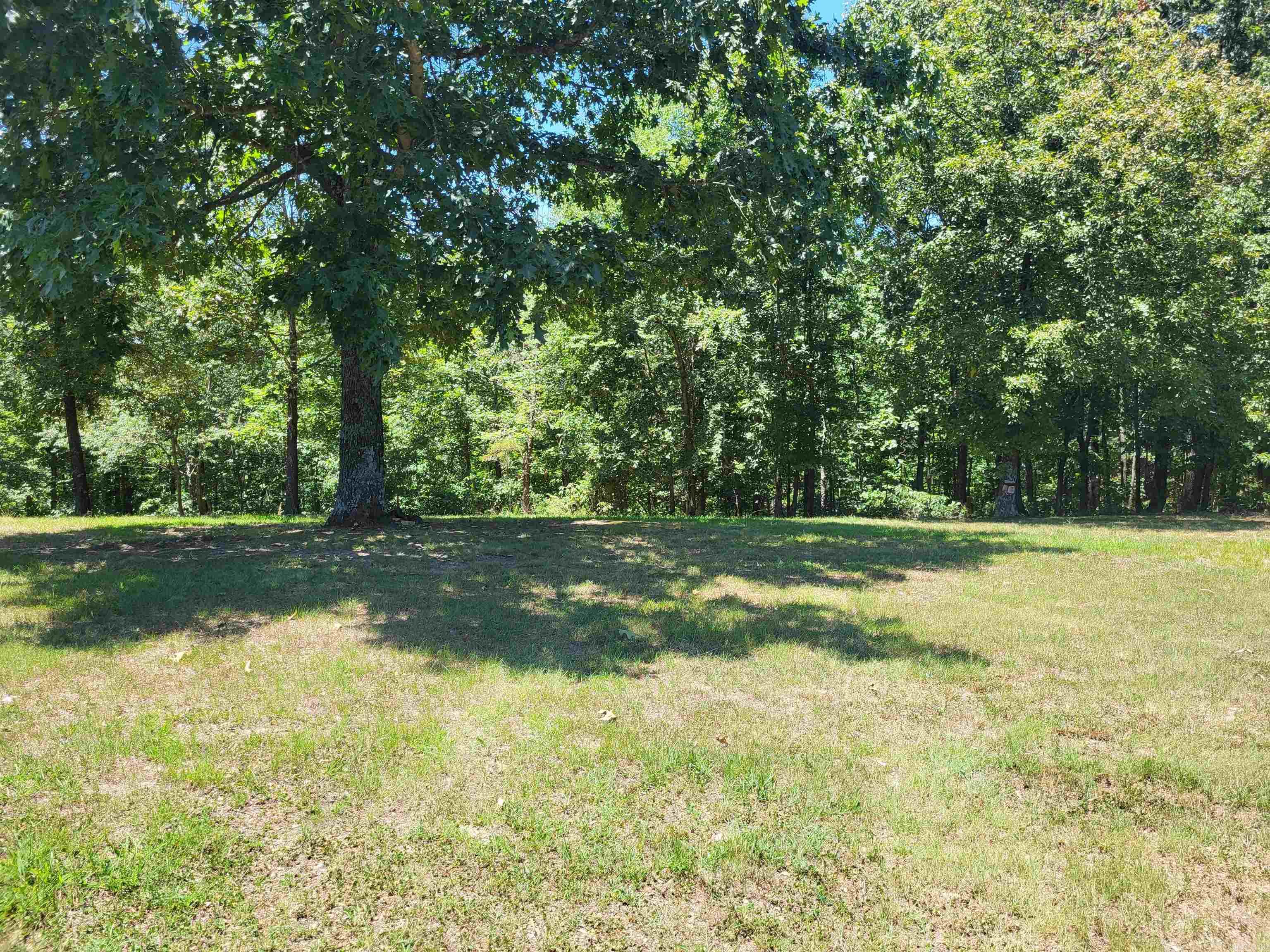 1800  Antioch  Cave City, AR