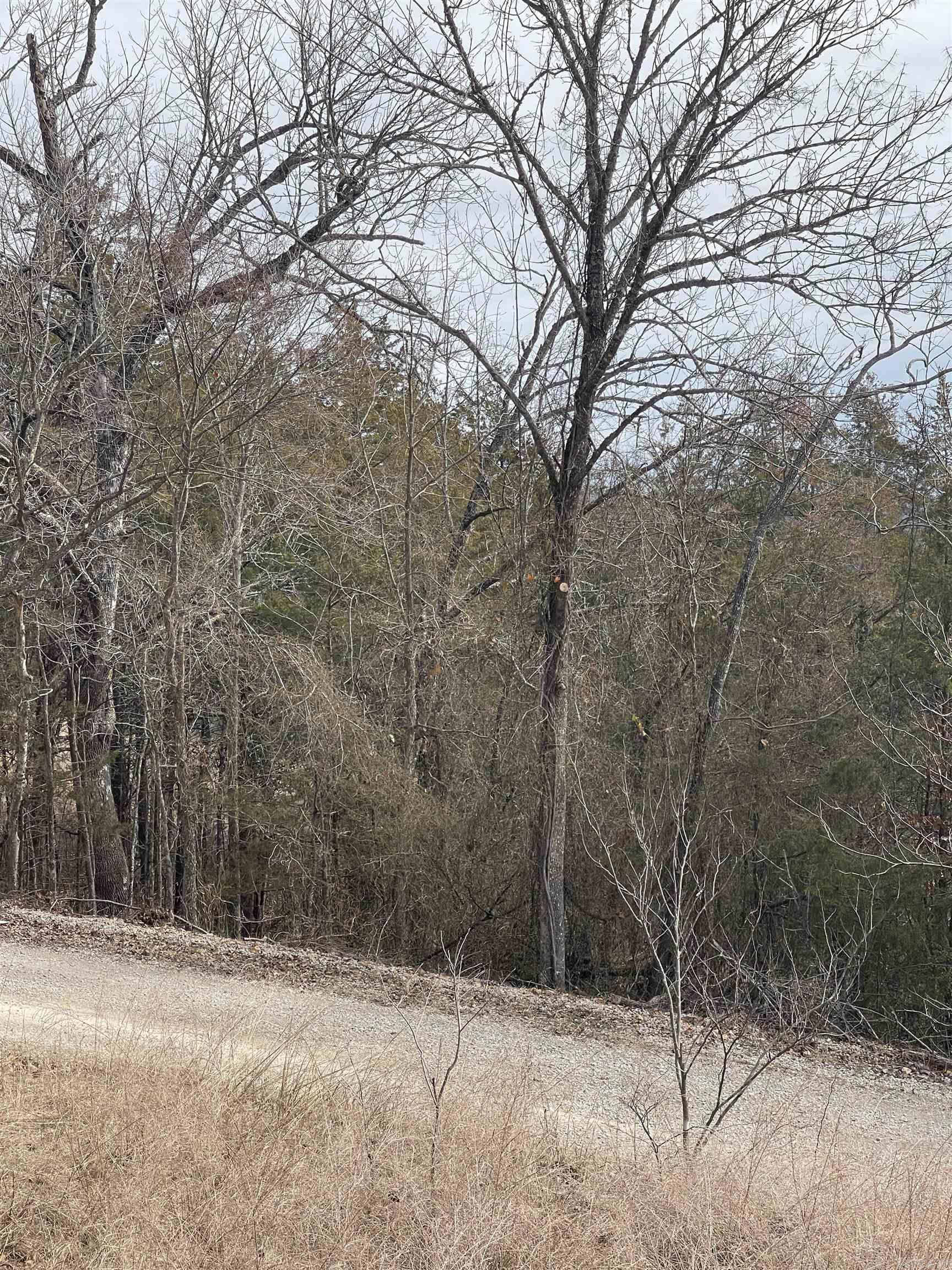000  Green Haven  Mountain Home, AR