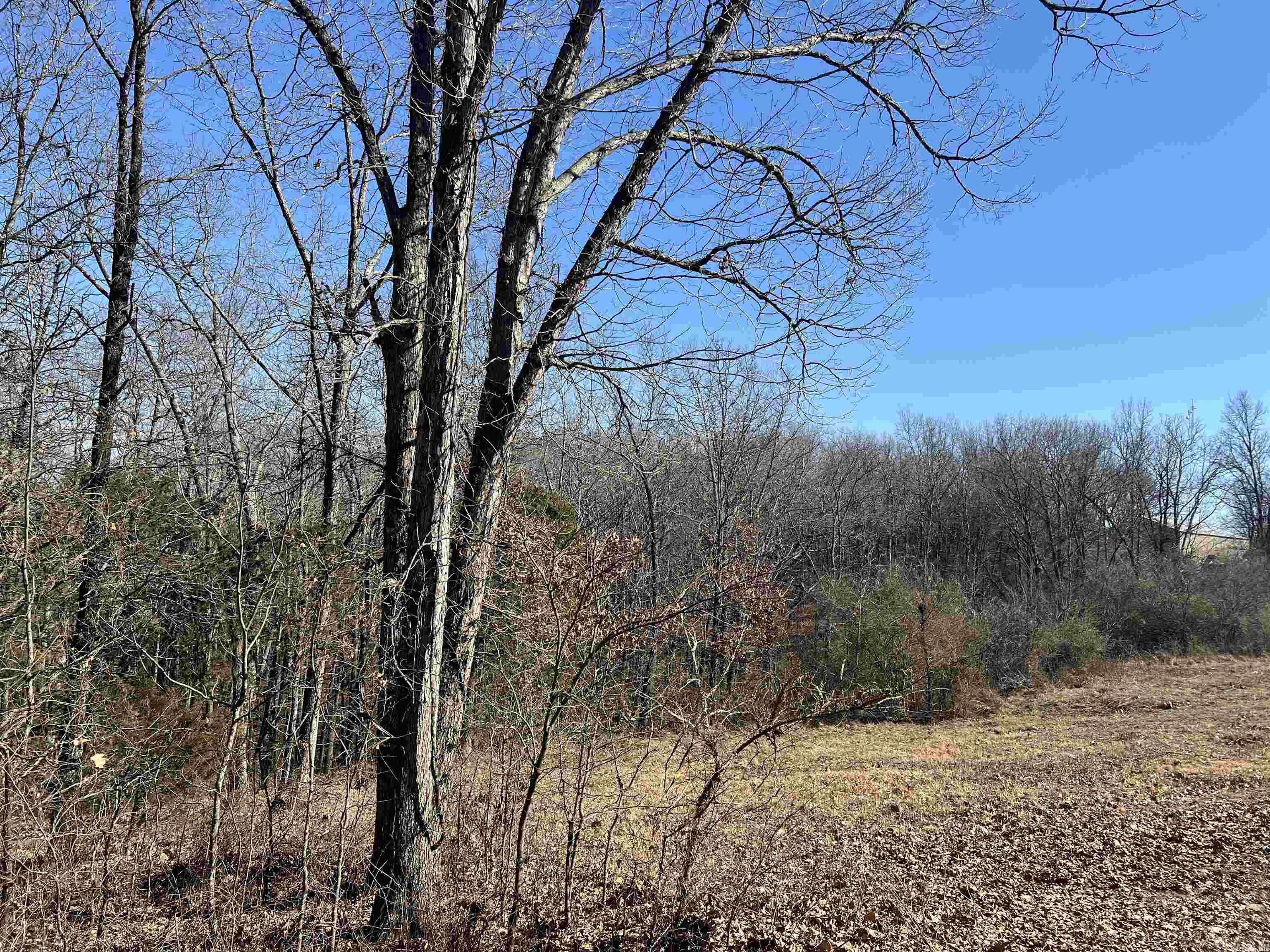 Lot 1  Legacy  Heber Springs, AR
