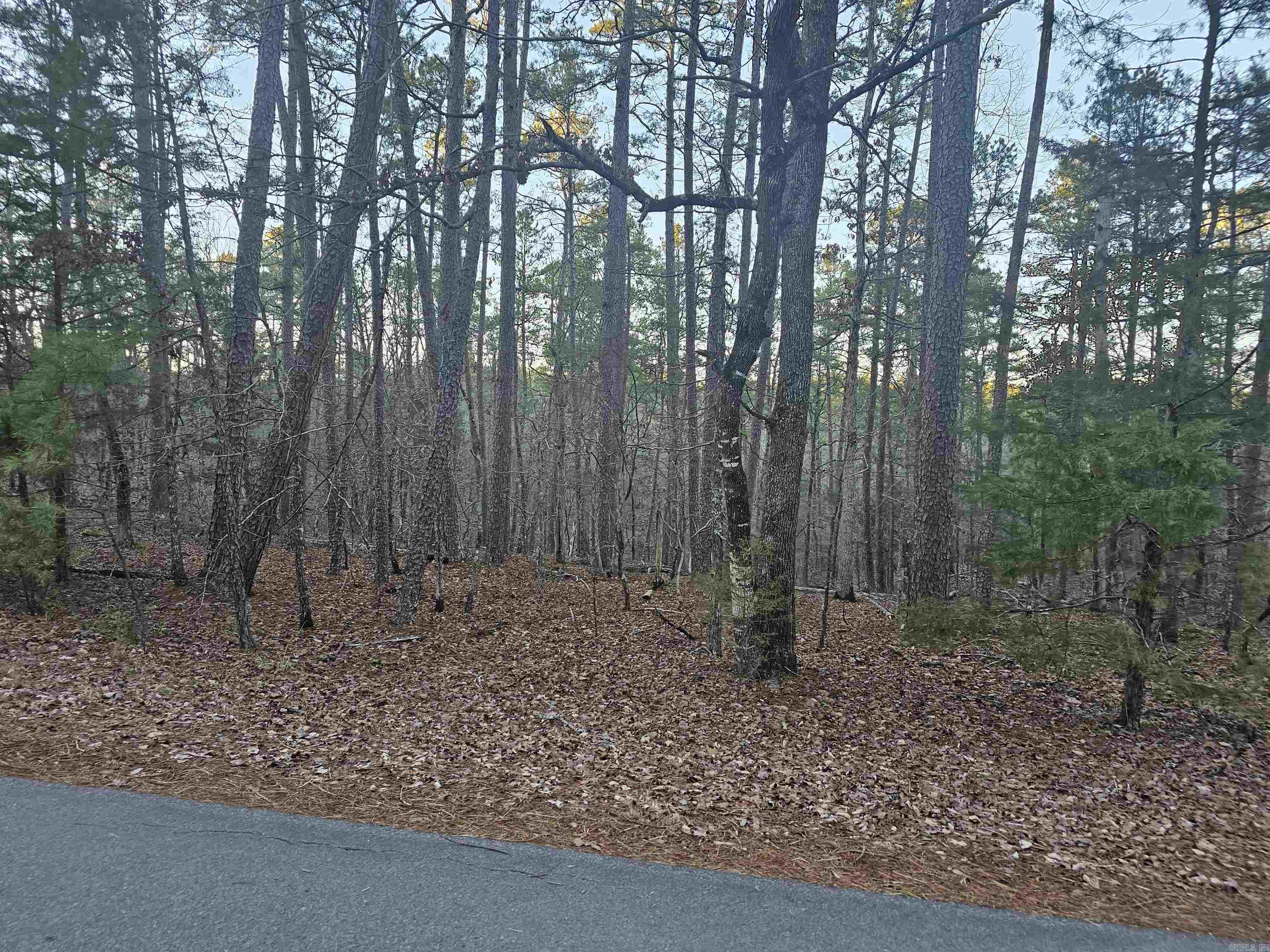 82  Biarritz Way  Hot Springs Village, AR