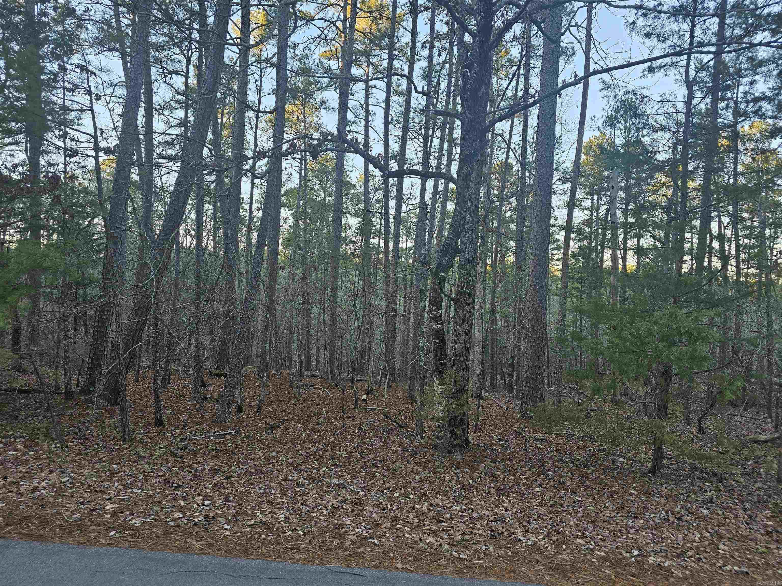 82 Biarritz Way  Hot Springs Village, AR