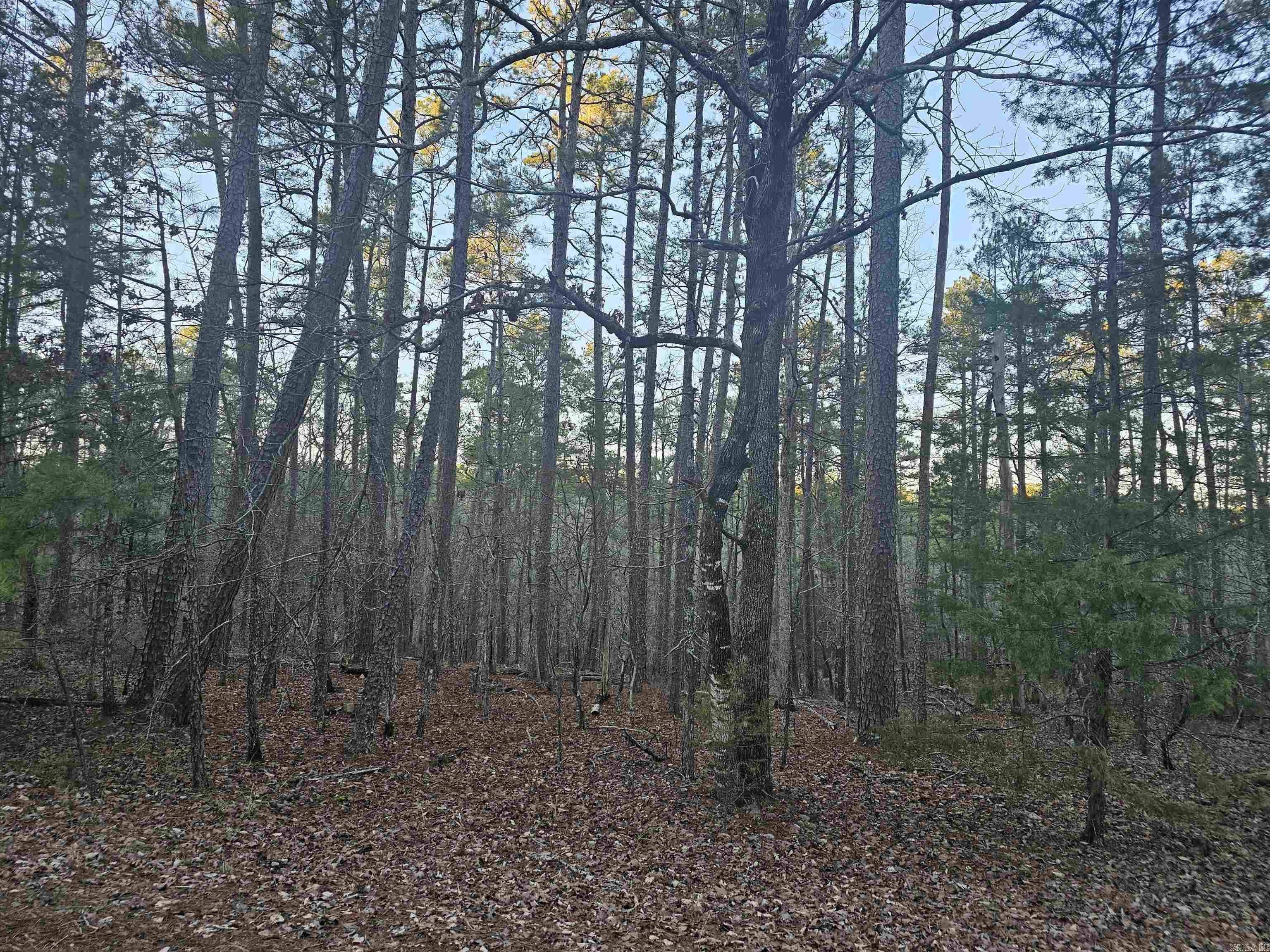 82  Biarritz Way  Hot Springs Village, AR