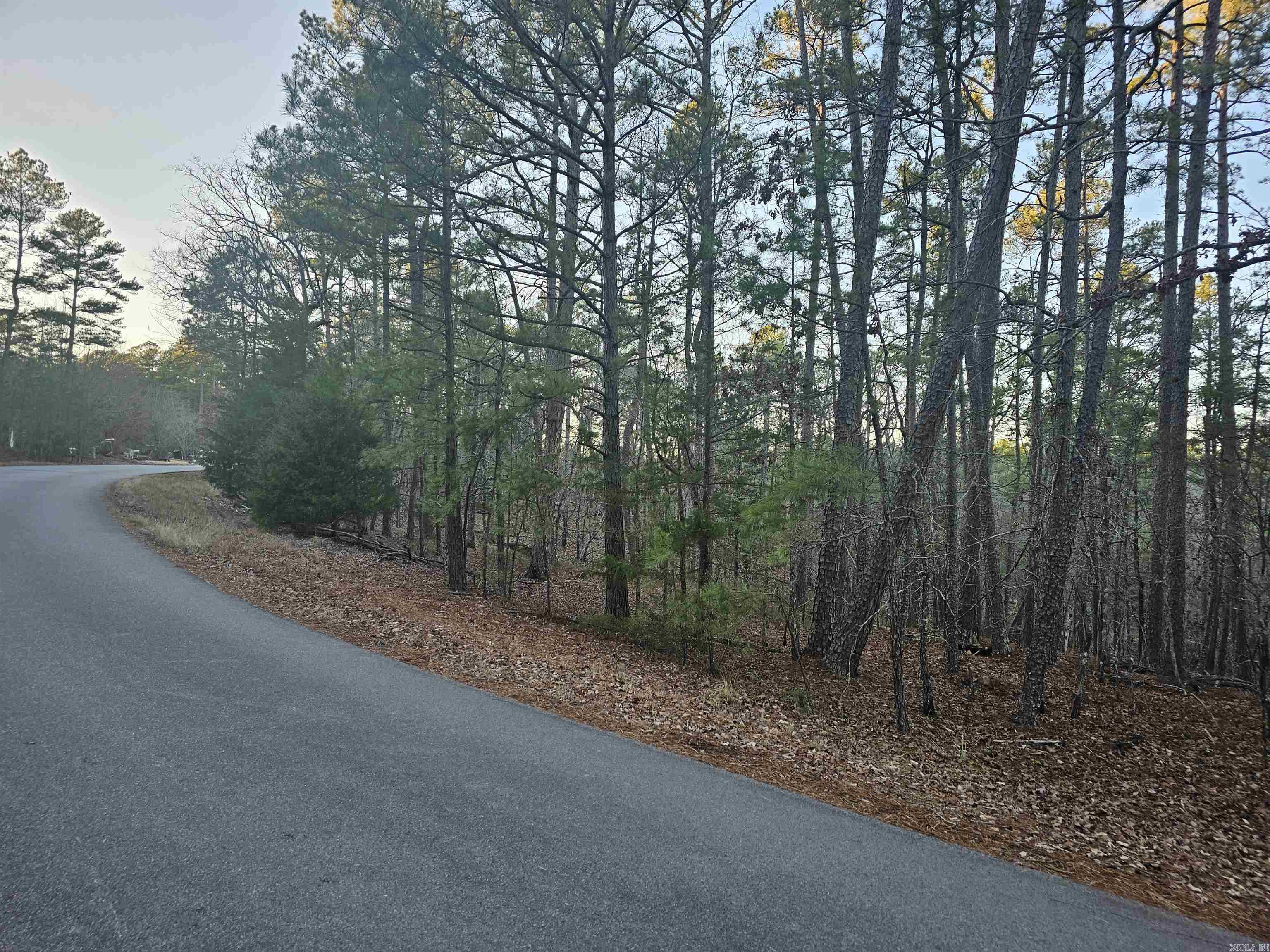 82 Biarritz Way  Hot Springs Village, AR