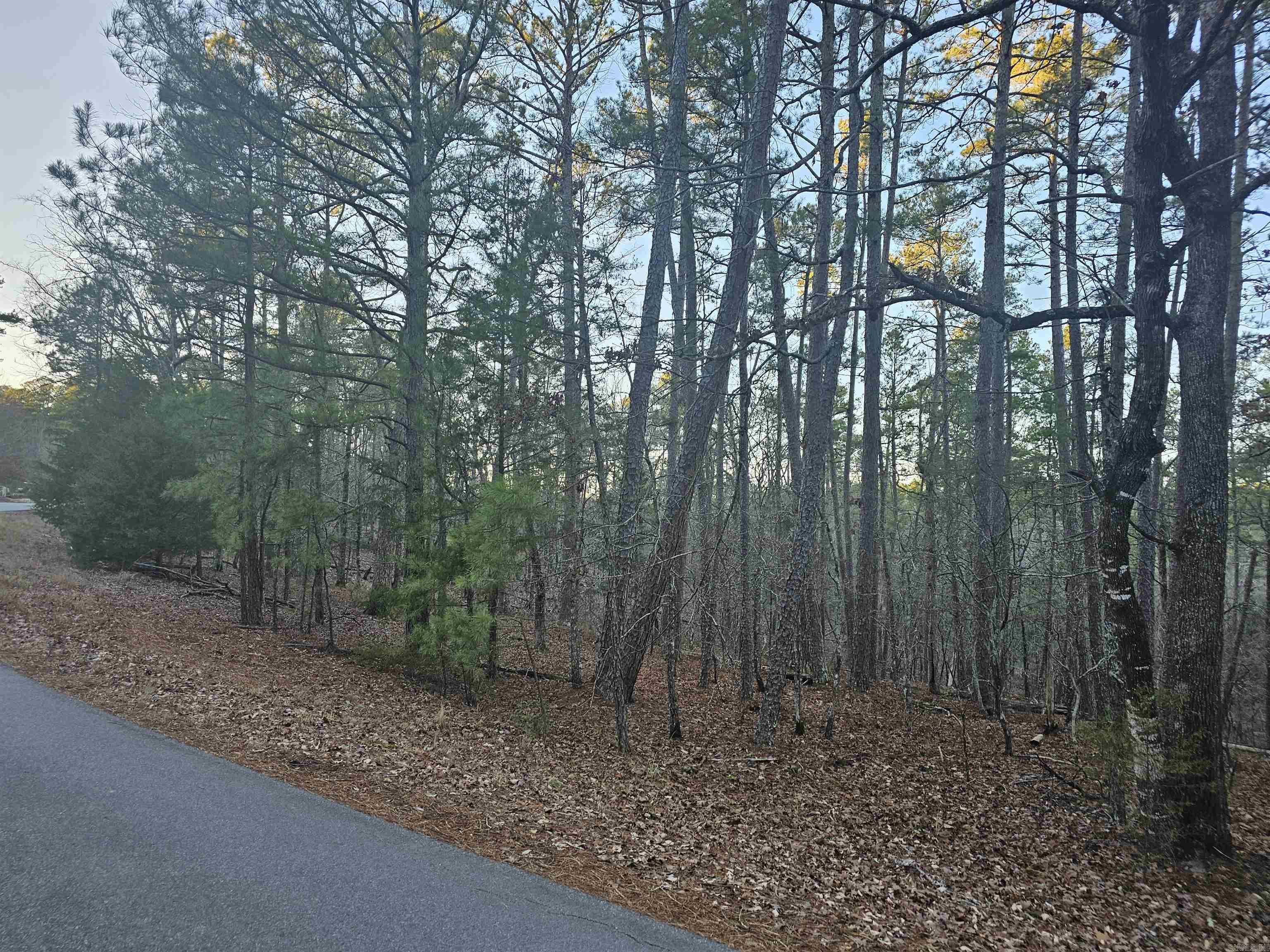 82  Biarritz Way  Hot Springs Village, AR