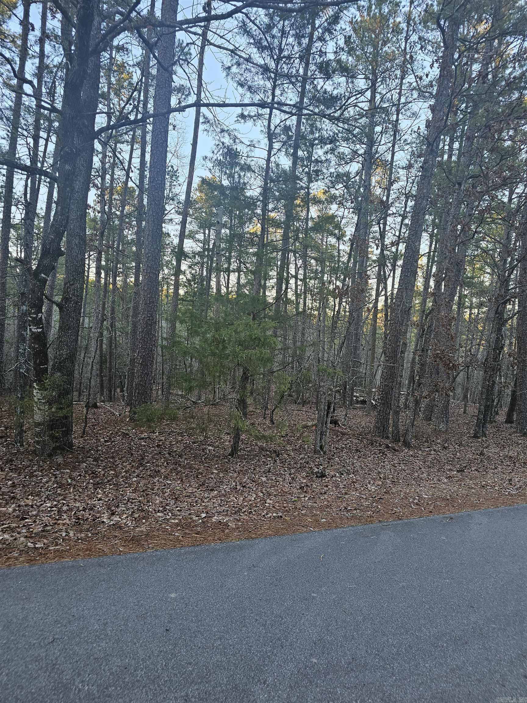 82 Biarritz Way  Hot Springs Village, AR