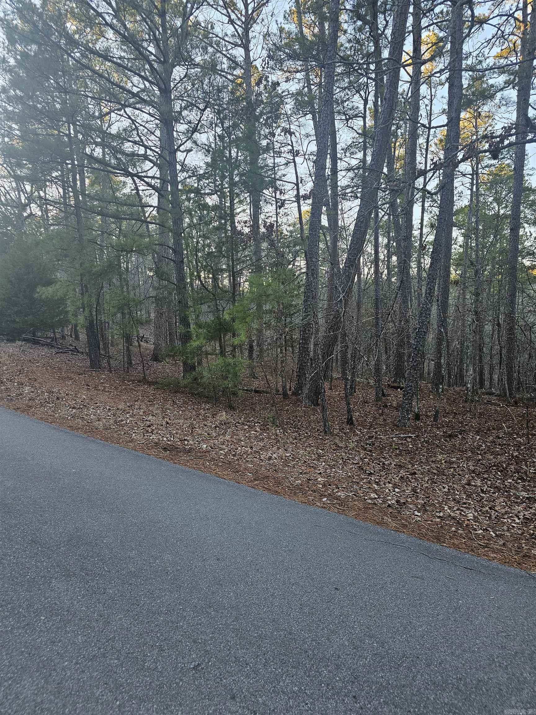82  Biarritz Way  Hot Springs Village, AR