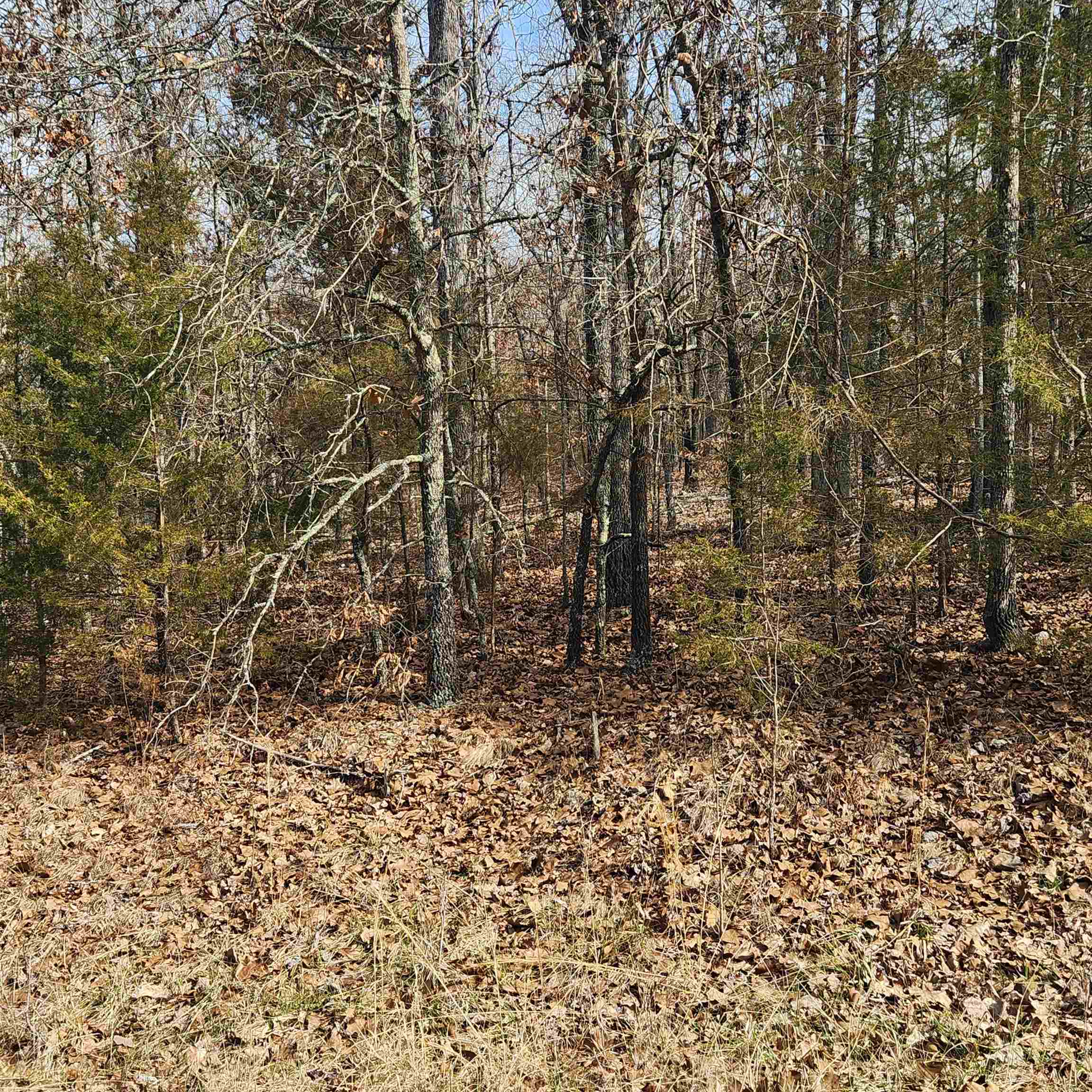 L10 B02  Awi  Cherokee Village, AR