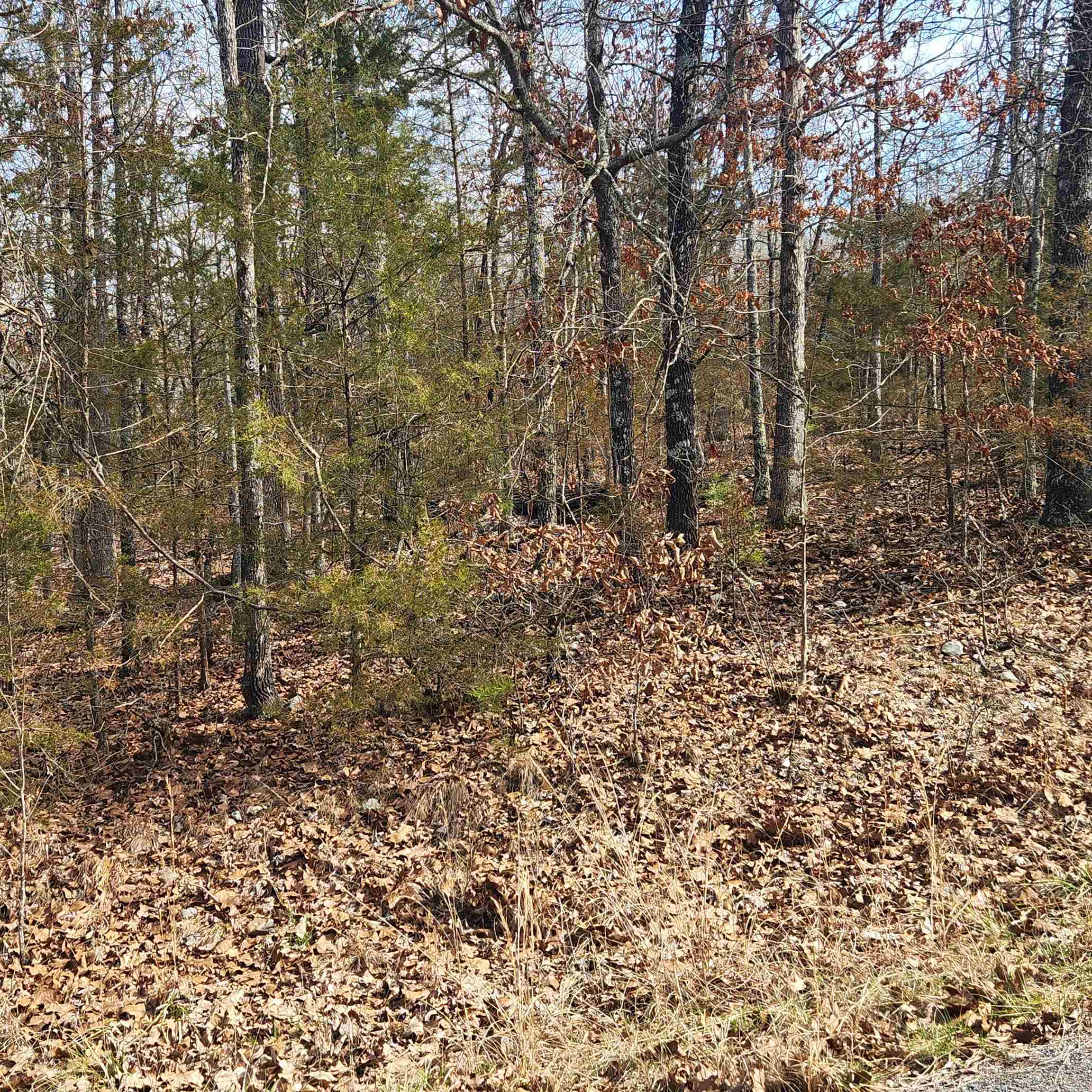 L10 B02  Awi  Cherokee Village, AR