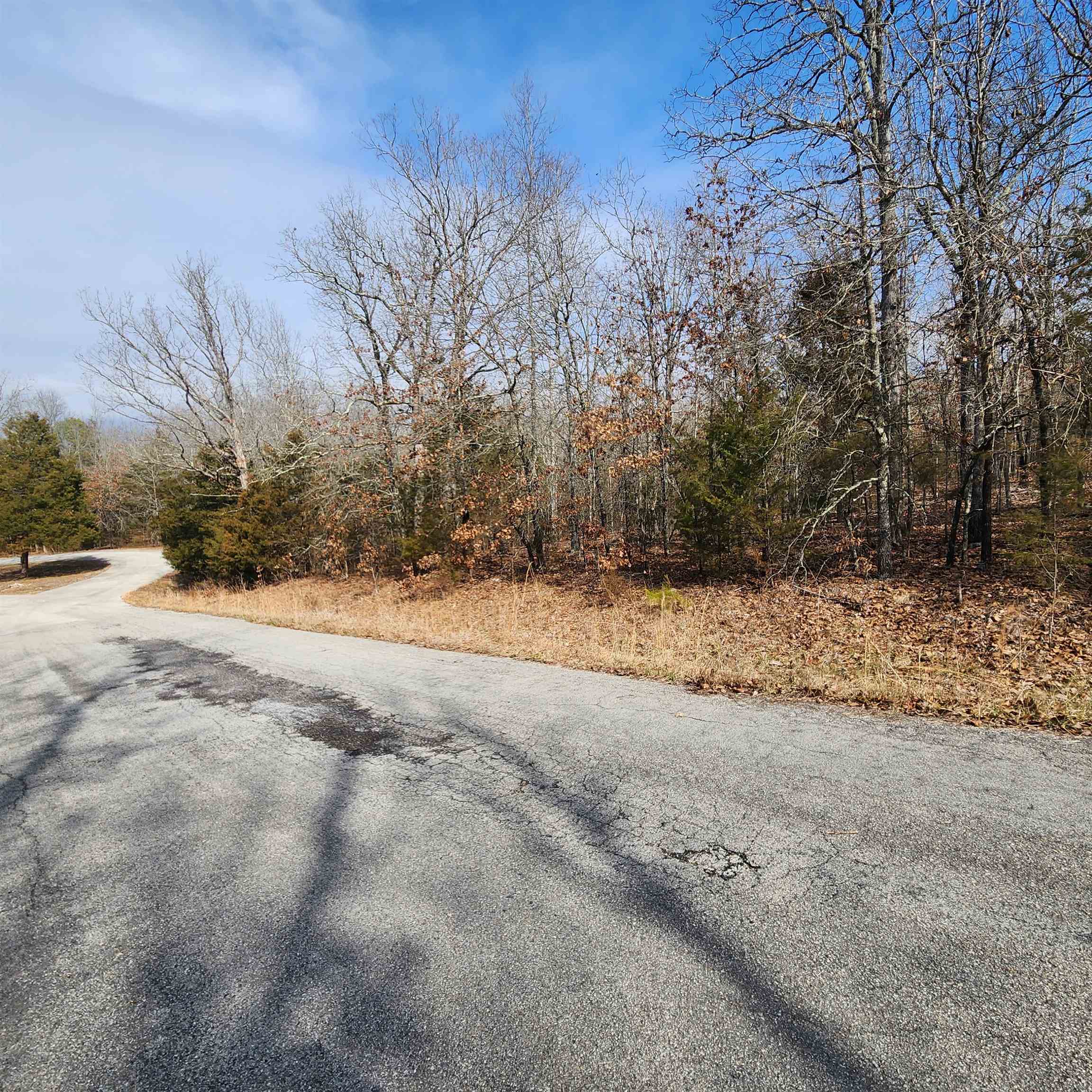 L10 B02  Awi  Cherokee Village, AR