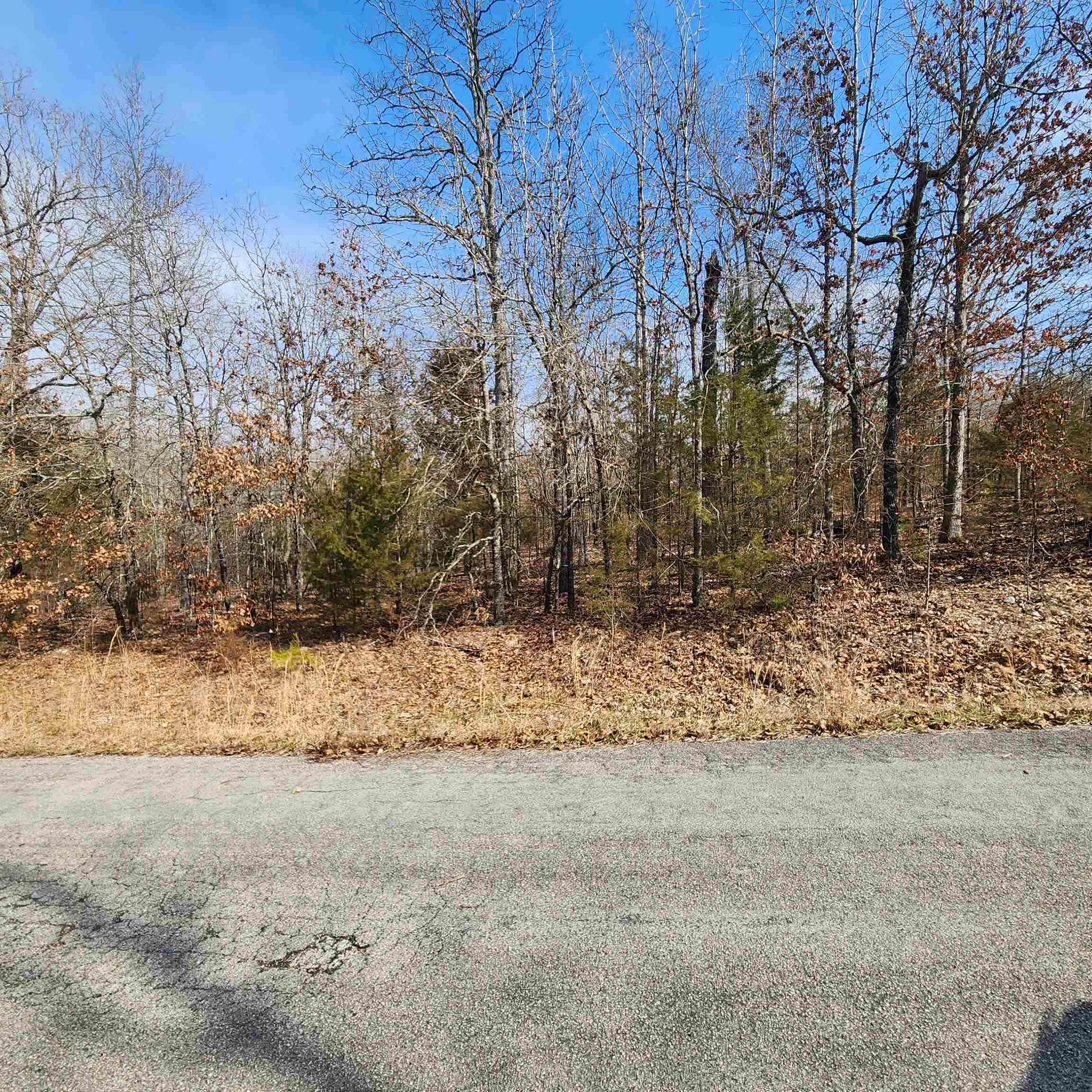 L10 B02  Awi  Cherokee Village, AR