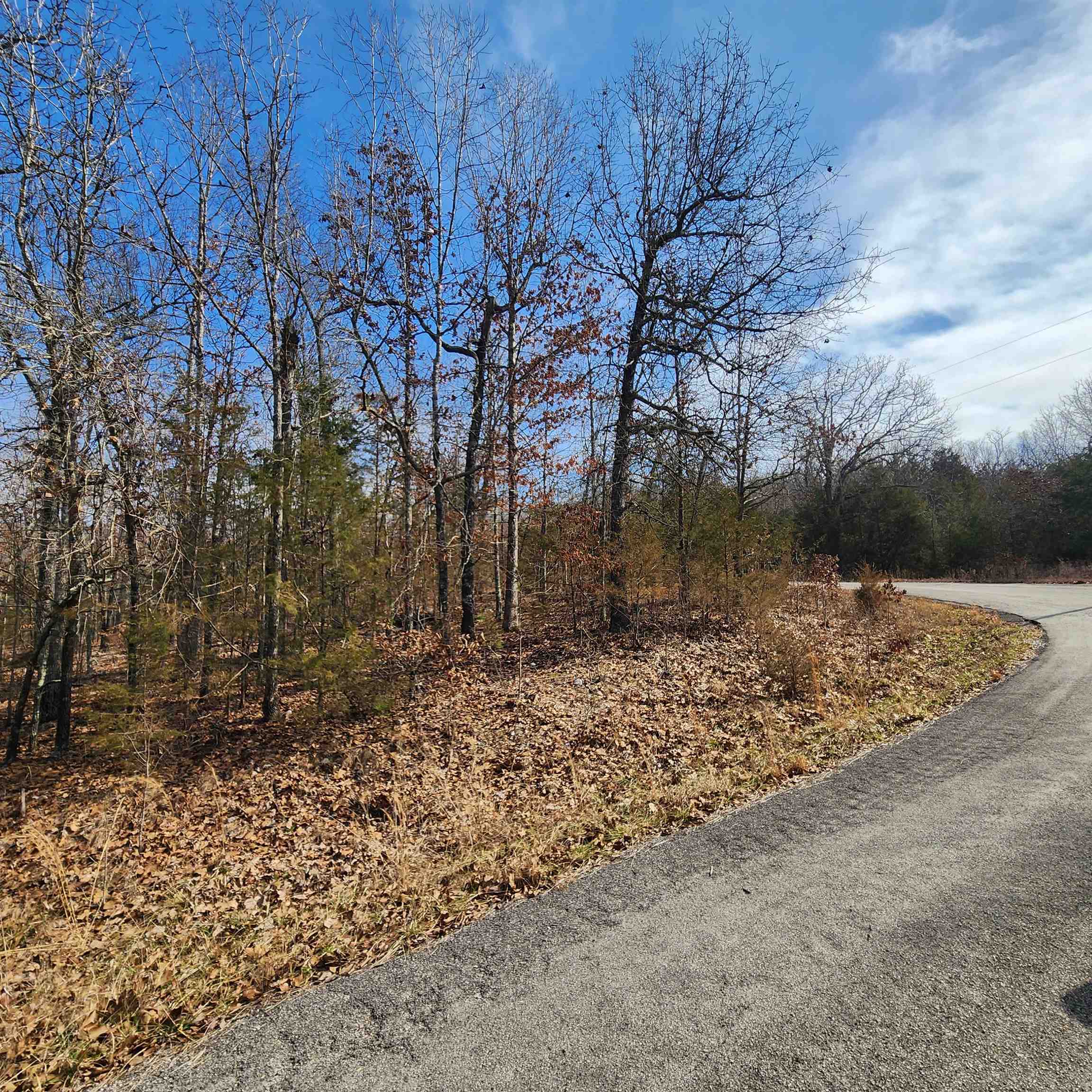 L10 B02  Awi  Cherokee Village, AR