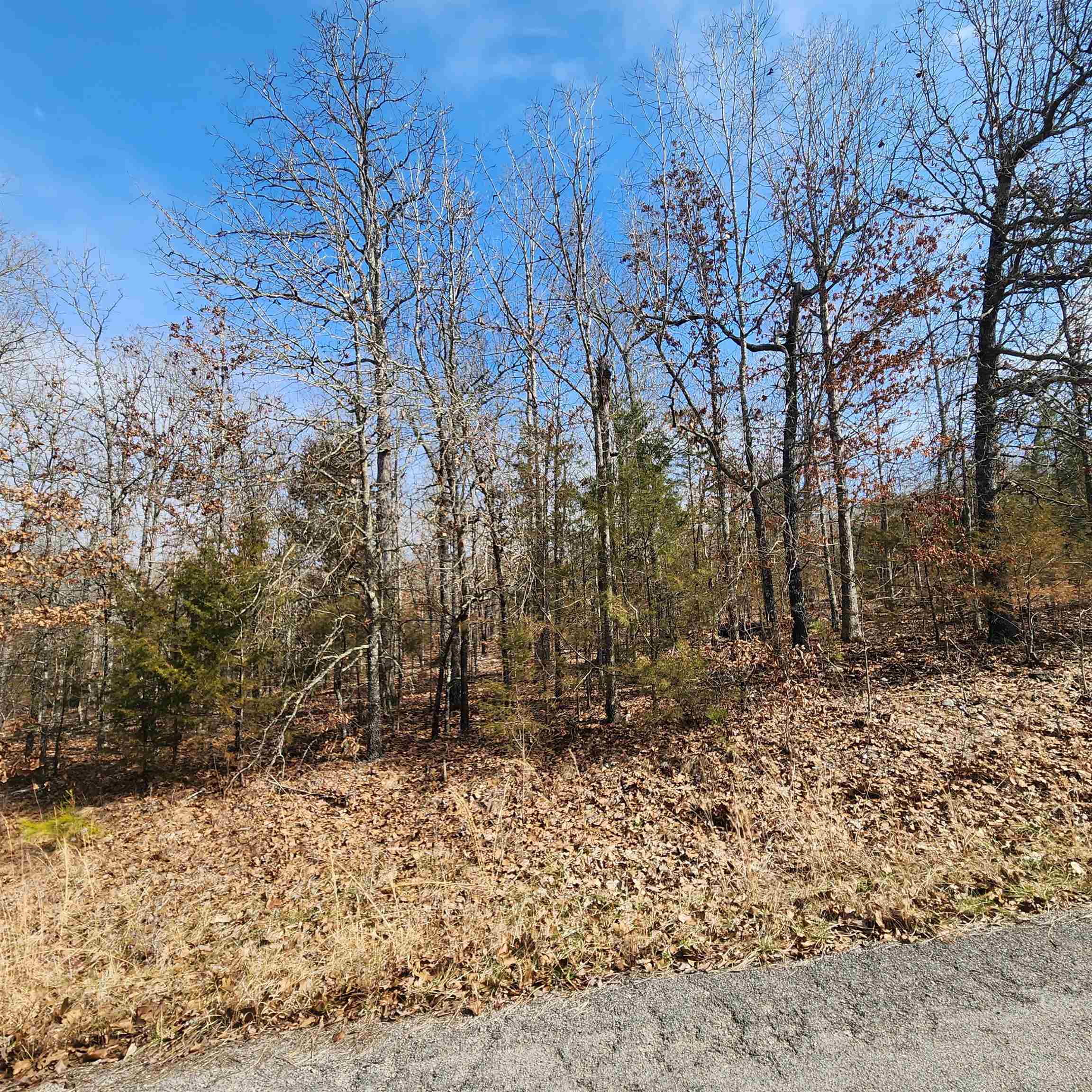 L10 B02  Awi  Cherokee Village, AR