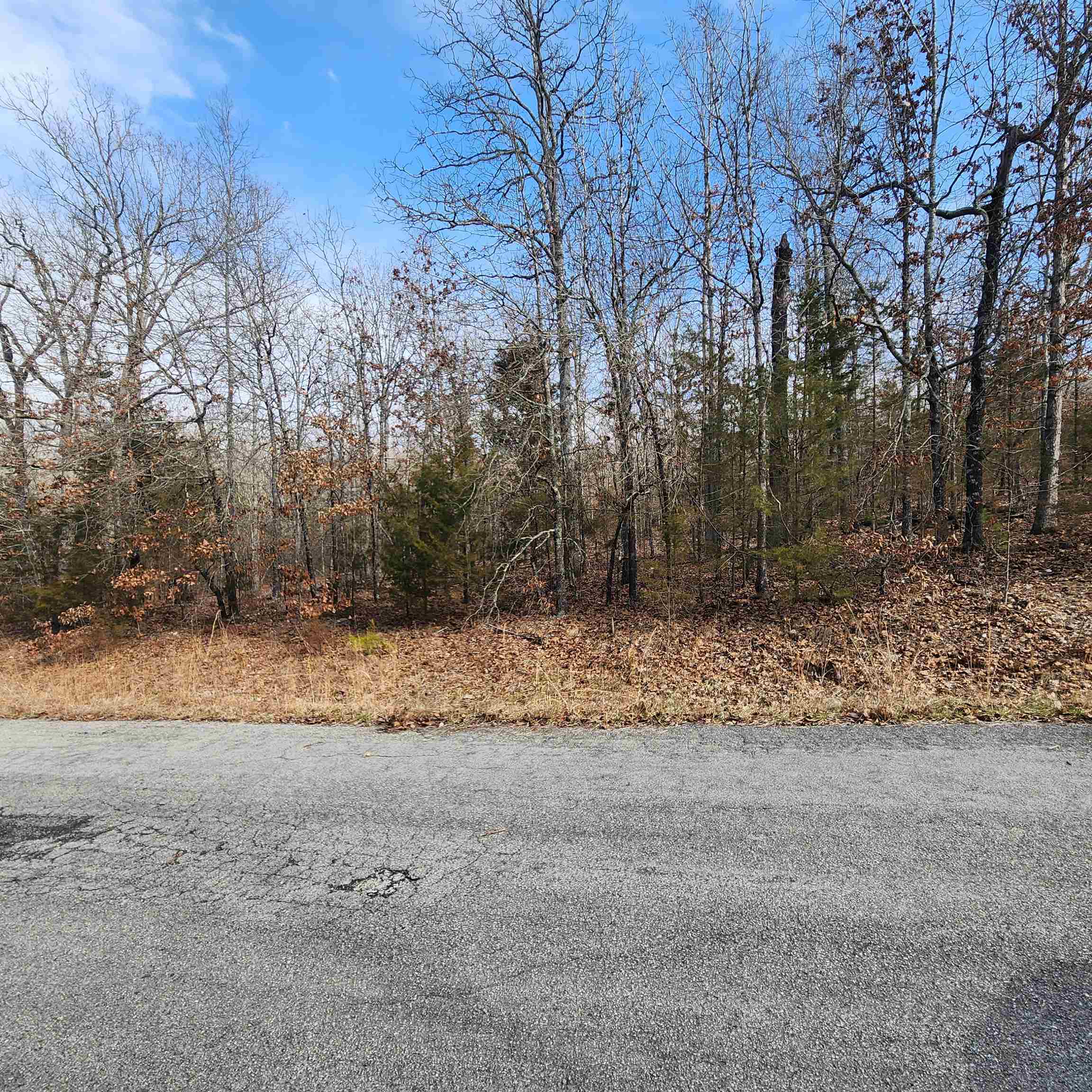 L10 B02  Awi  Cherokee Village, AR