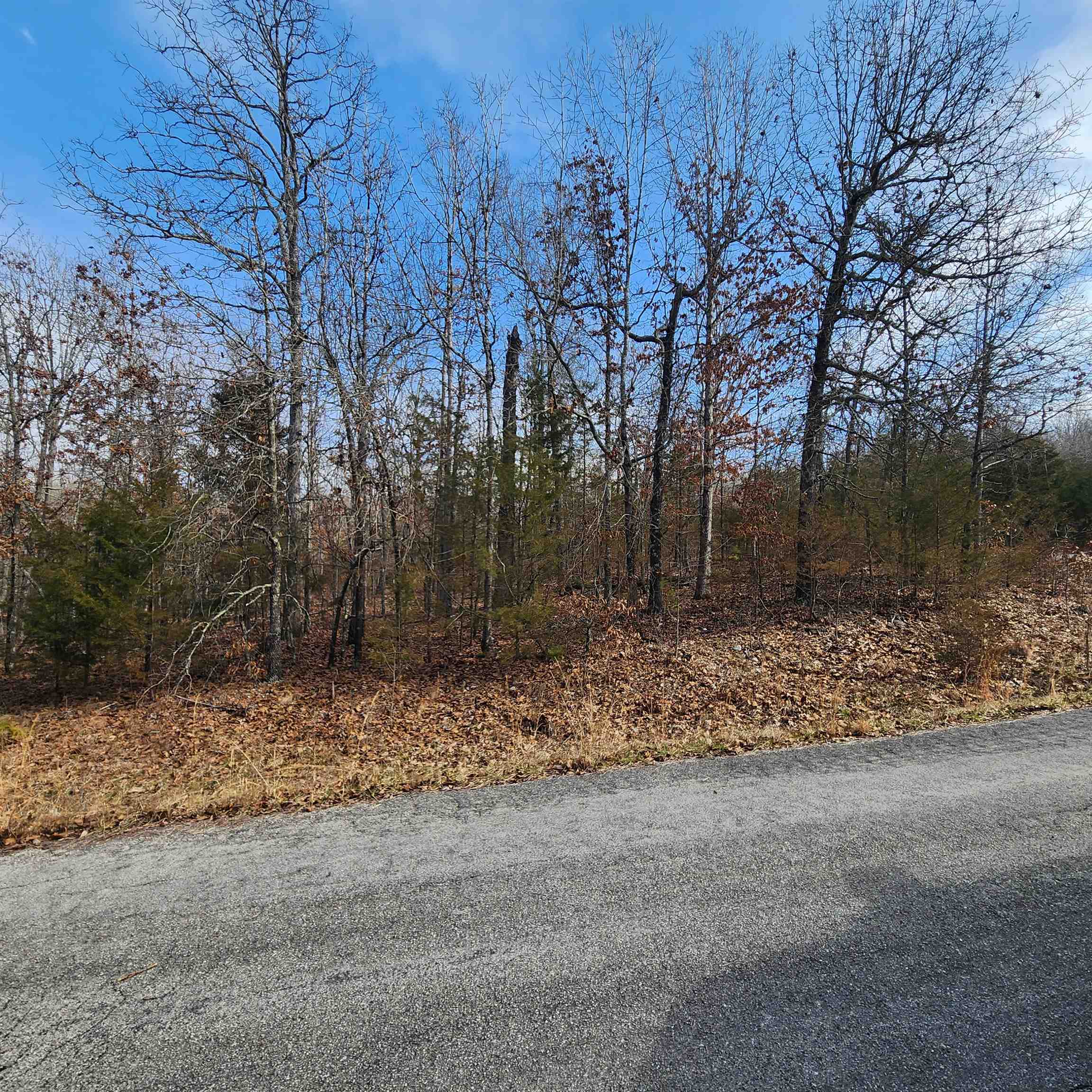 L10 B02  Awi  Cherokee Village, AR