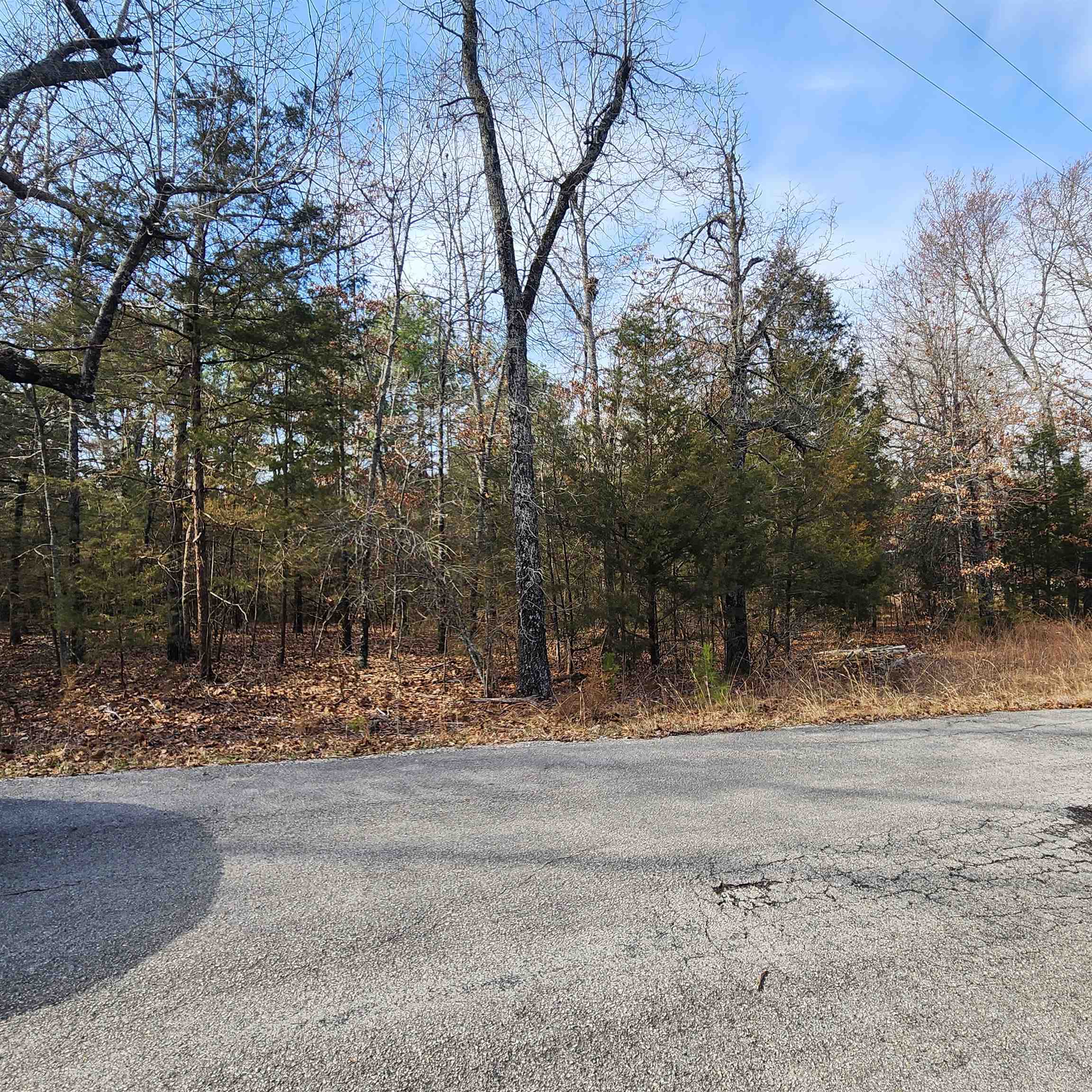 L10 B02  Awi  Cherokee Village, AR