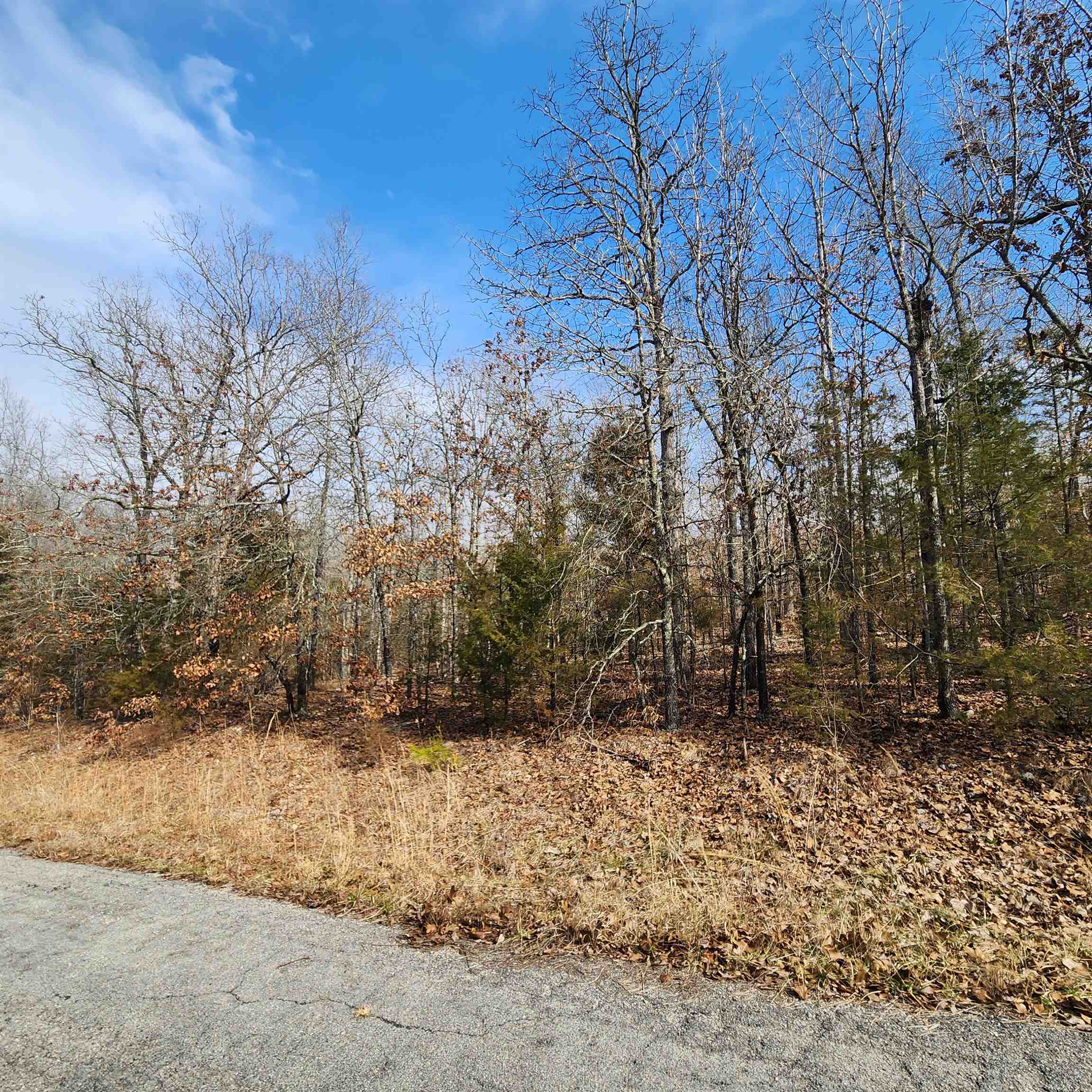 L10 B02  Awi  Cherokee Village, AR