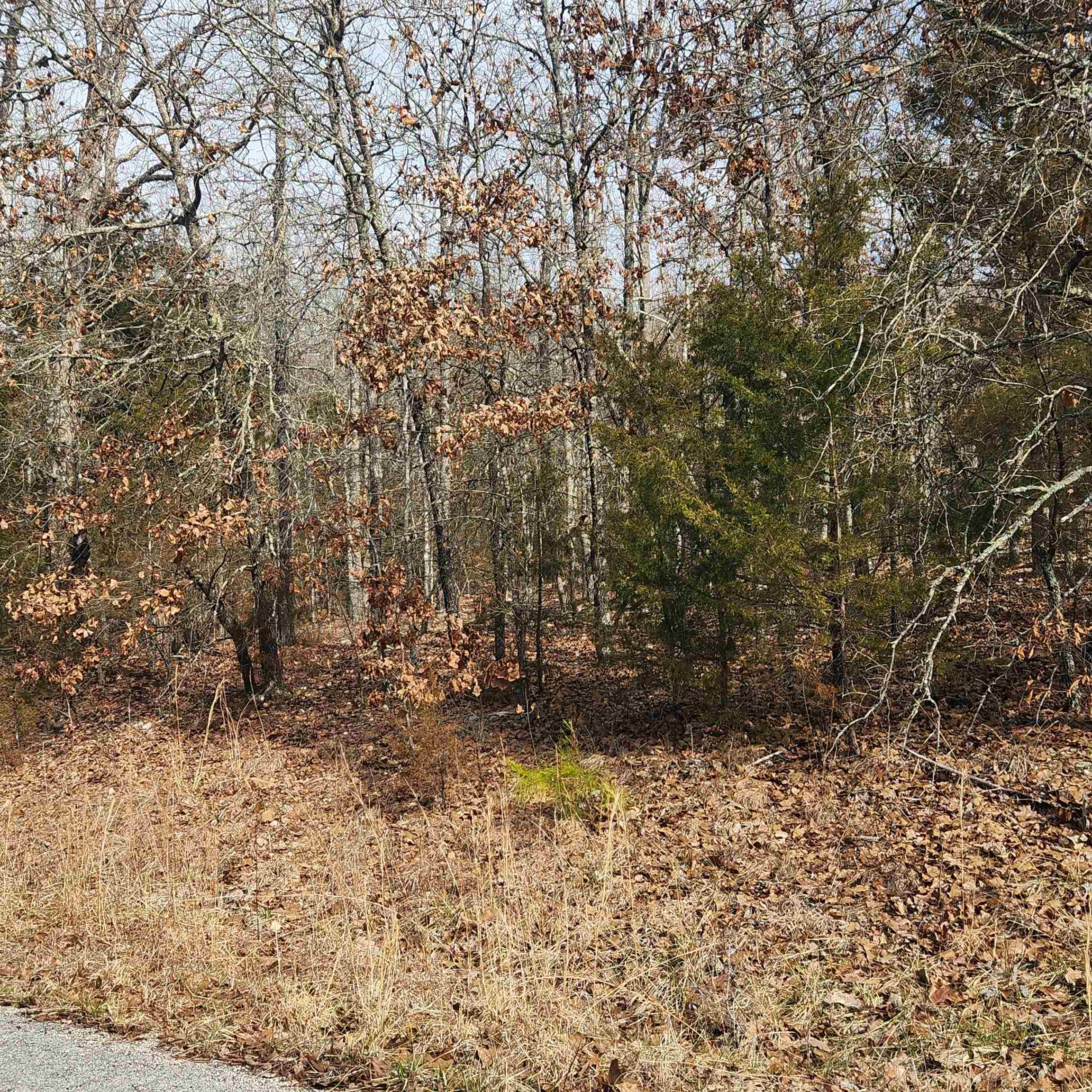 L10 B02  Awi  Cherokee Village, AR