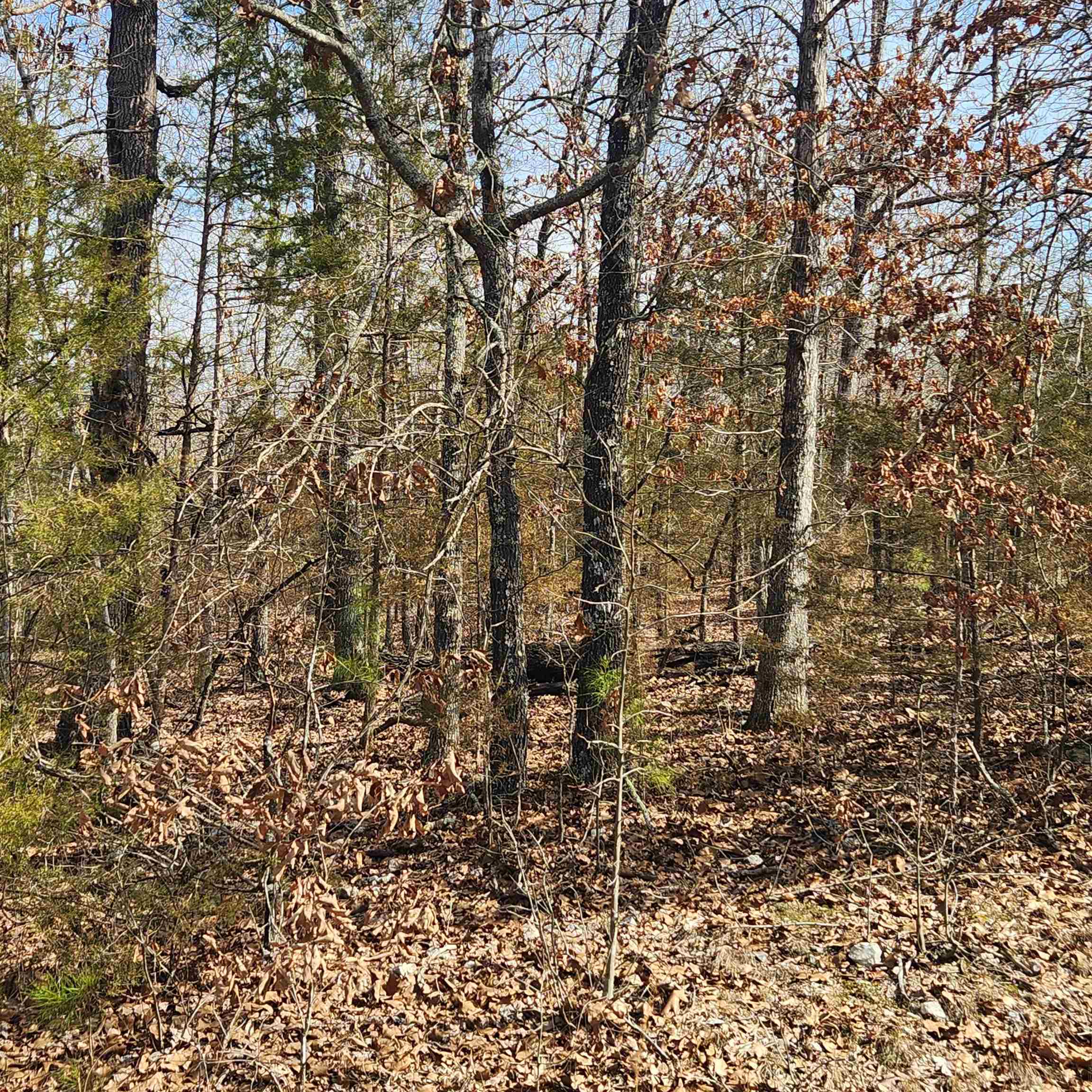 L10 B02  Awi  Cherokee Village, AR